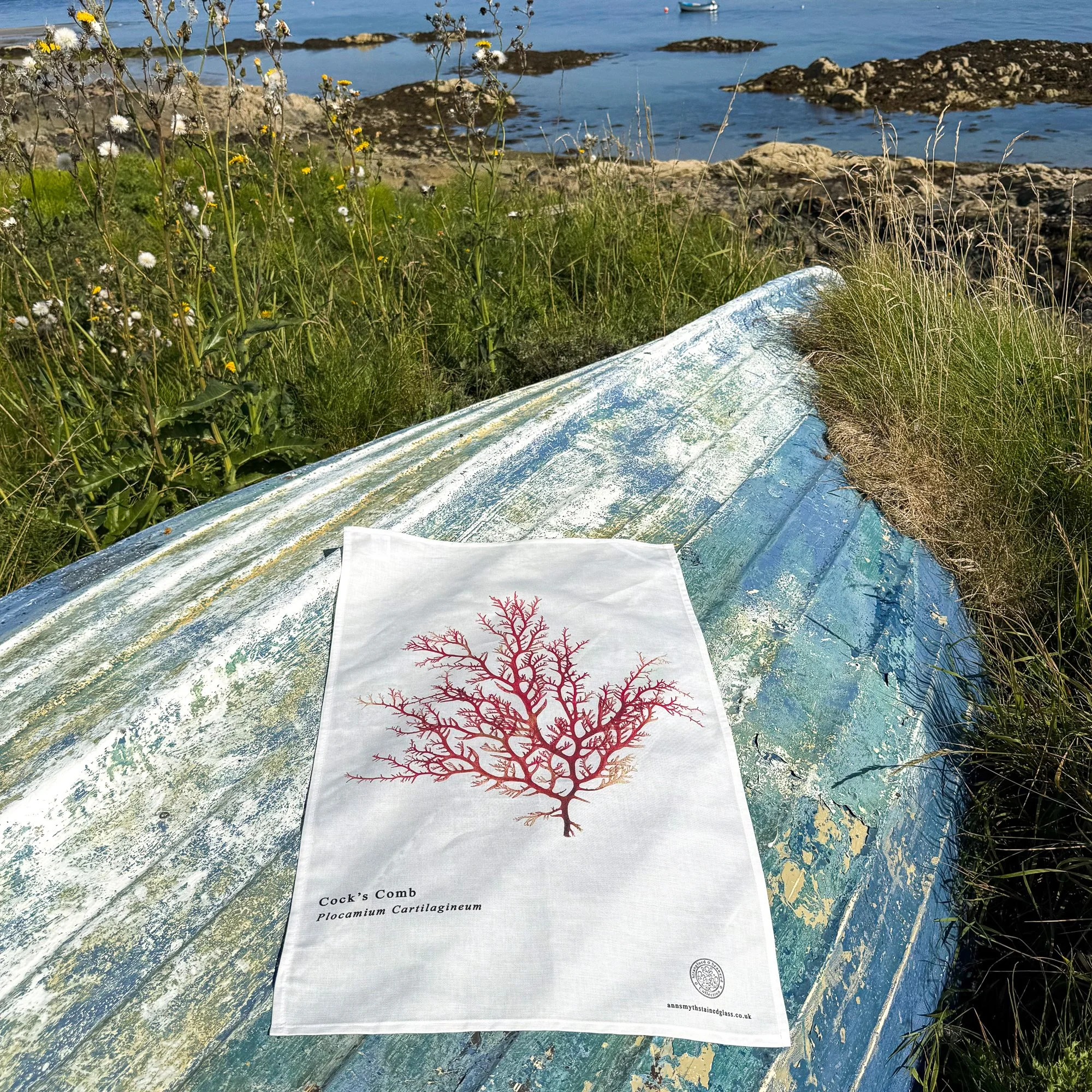 Strangford Seaweed Collection tea towel photographed on the shores of Strangford Lough