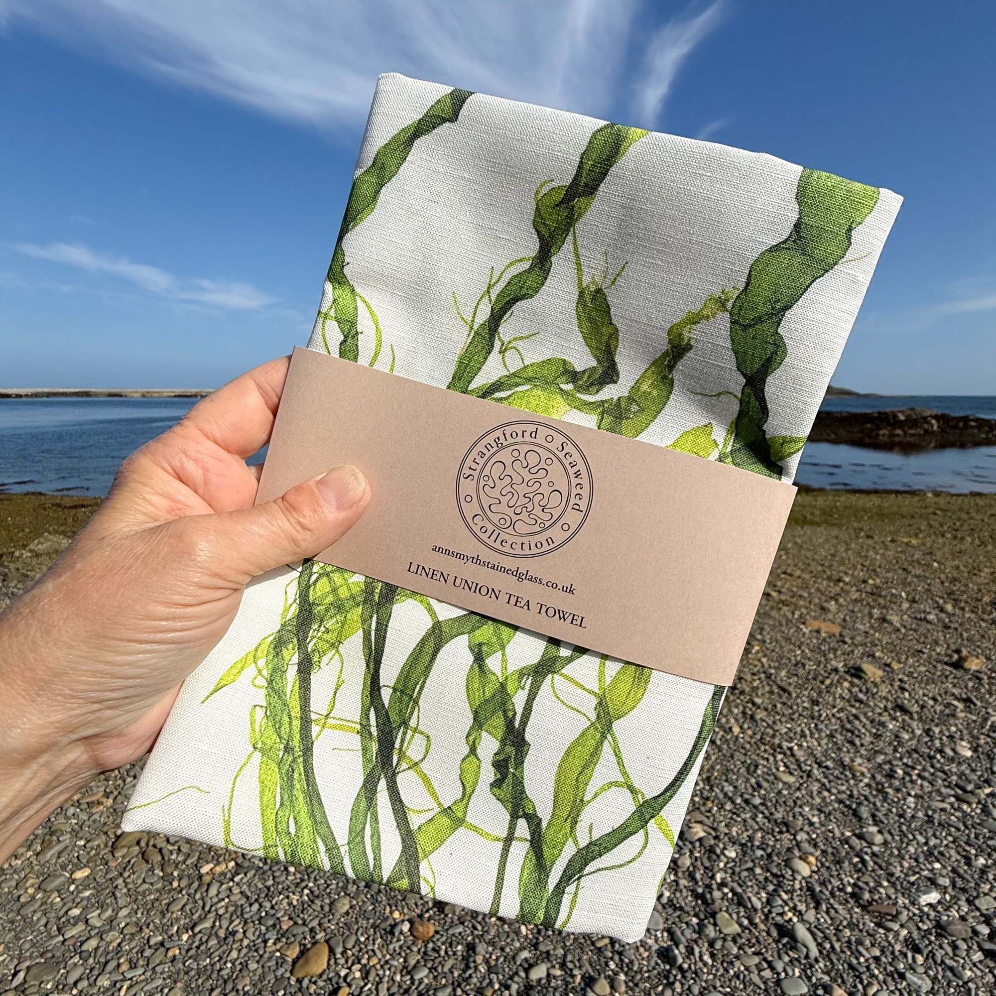 Seaweed tea towel photographed on the beach where the seaweed for the image was foraged