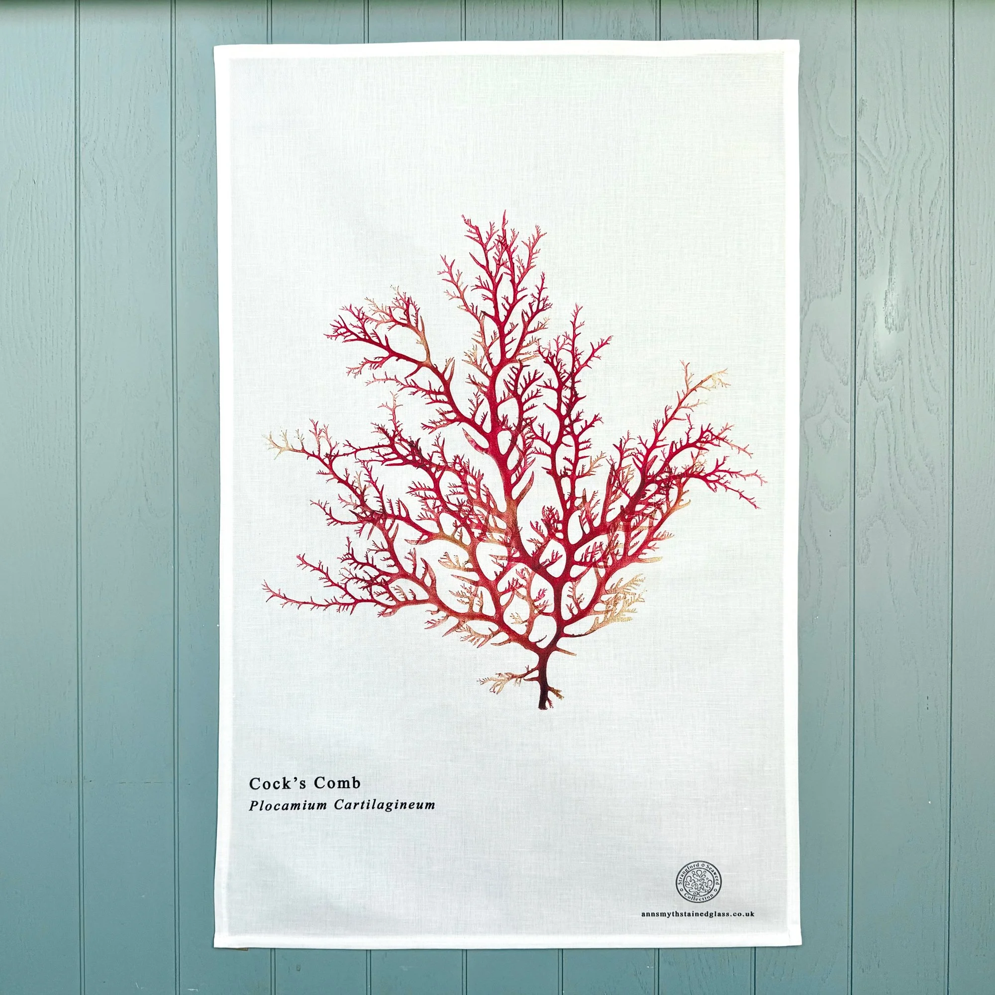 Cock's comb seaweed teatowel