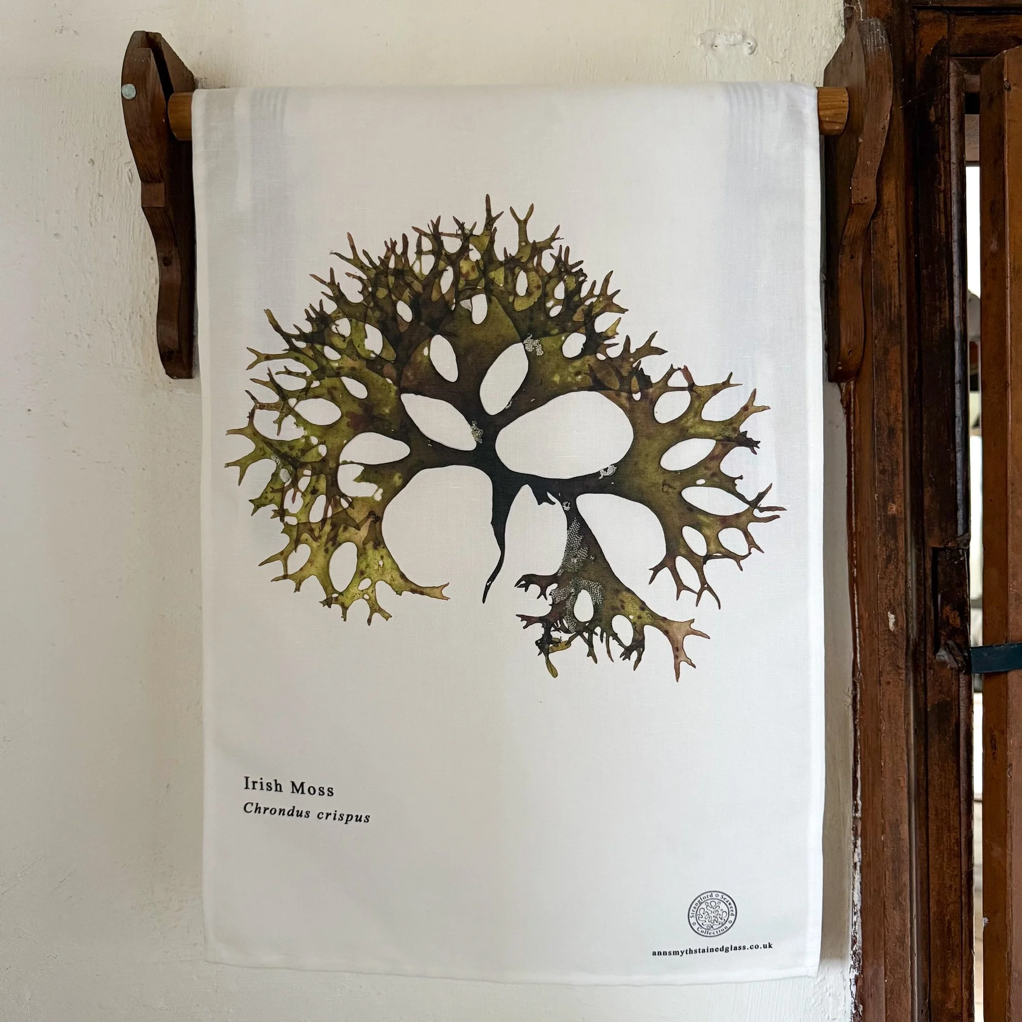 Irish moss seaweed tea towel