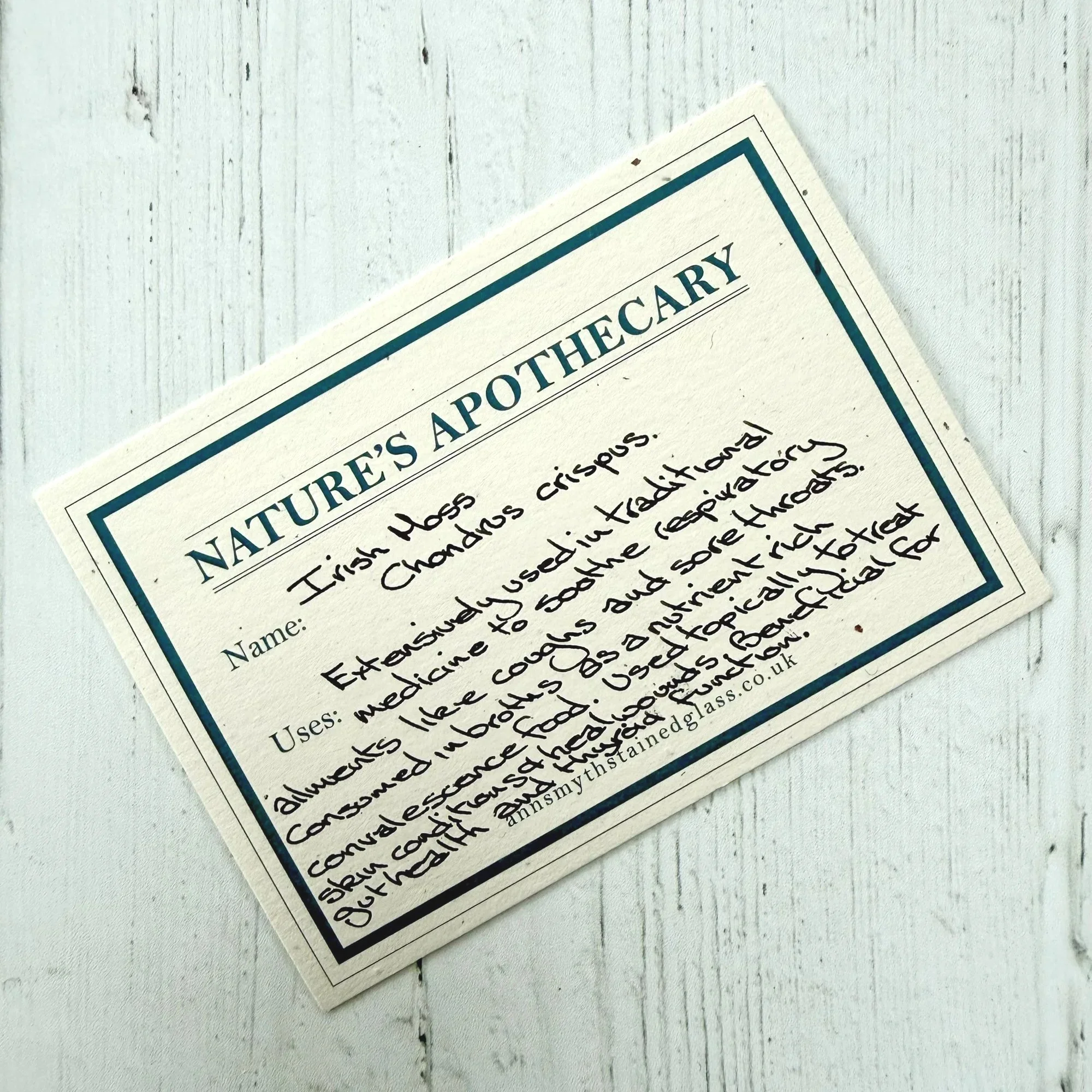 Hand written note included with each stained glass roundel describing the sea botanical's natural healing properties.