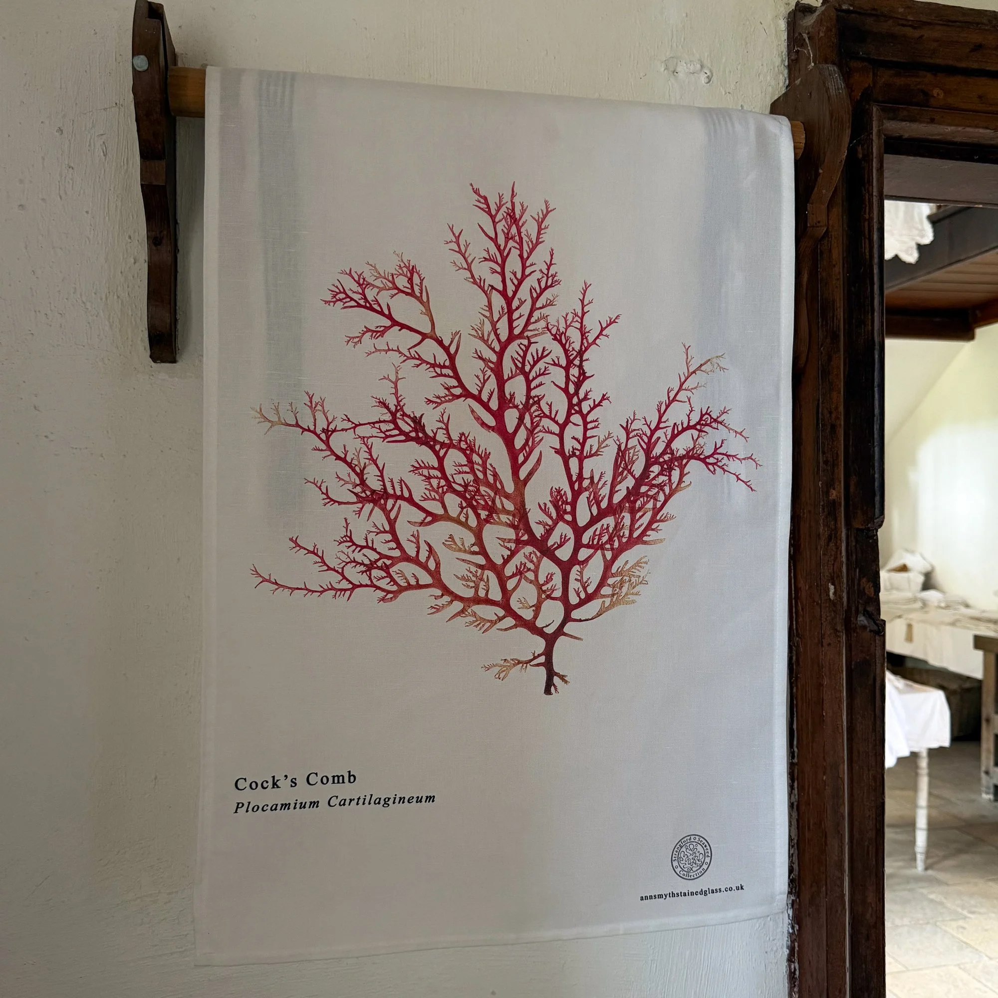 Linen union seaweed tea towel photographed on an old towel rail