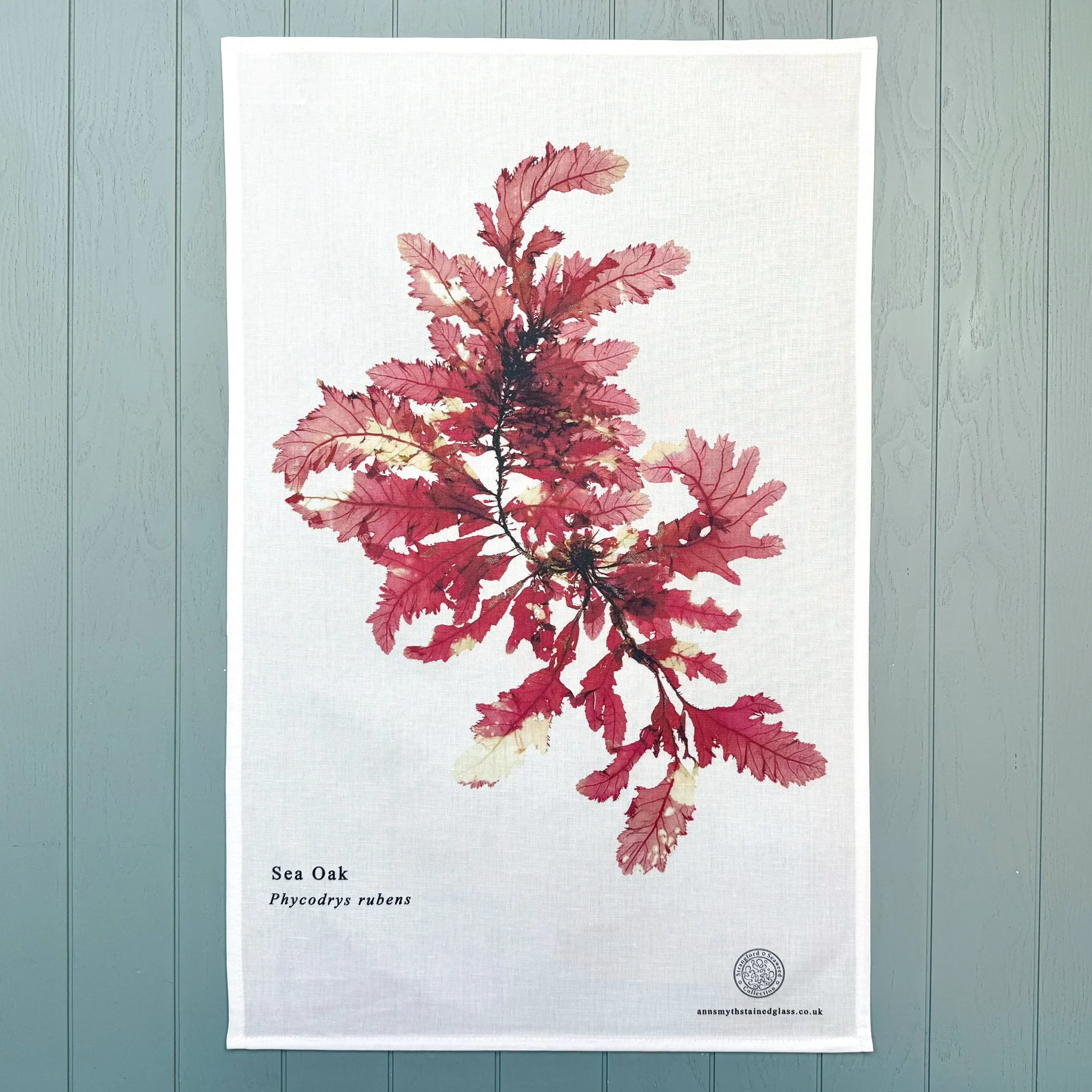 Strangford Seaweed Collection tea towel