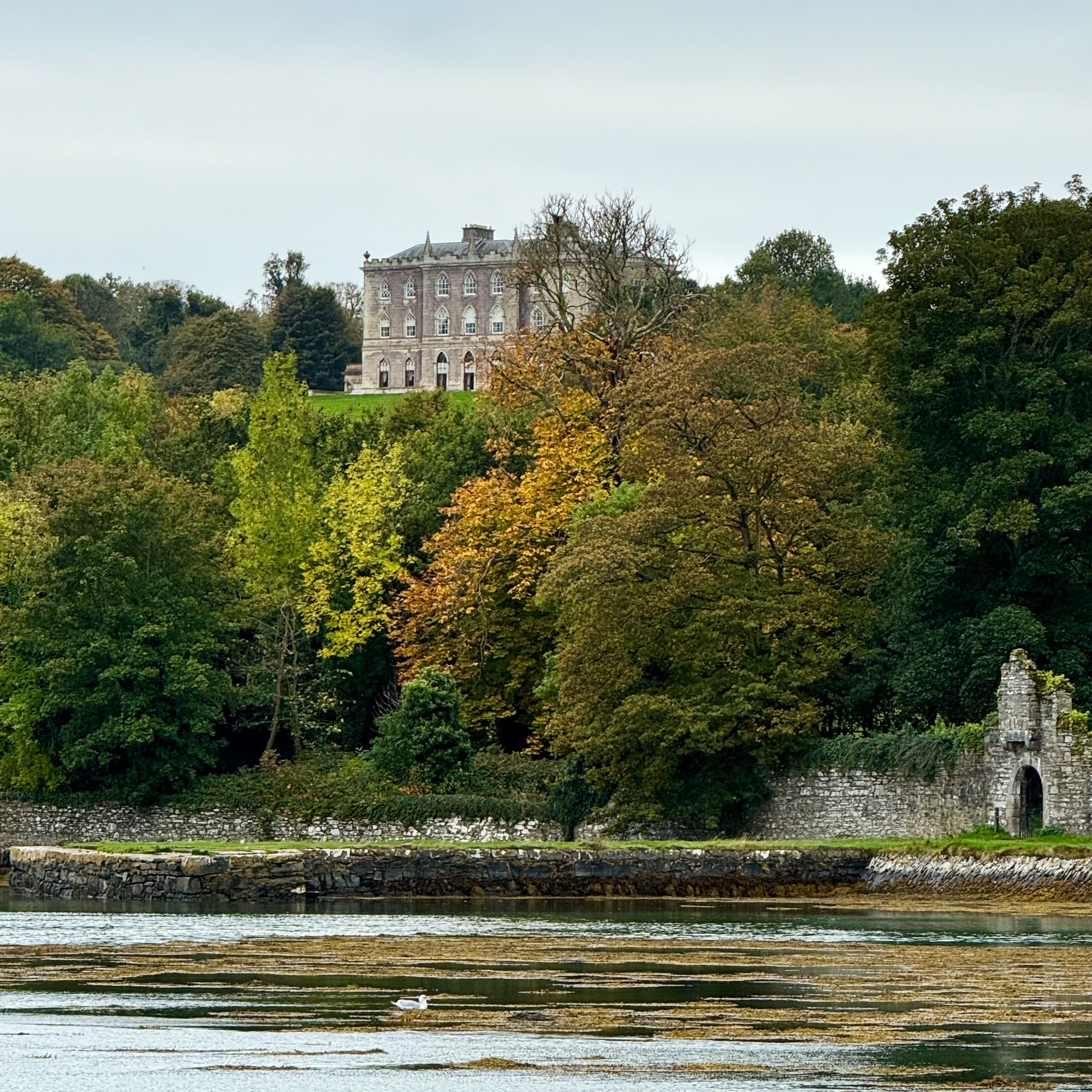 The Mansion House at Castle Ward, National Trust
