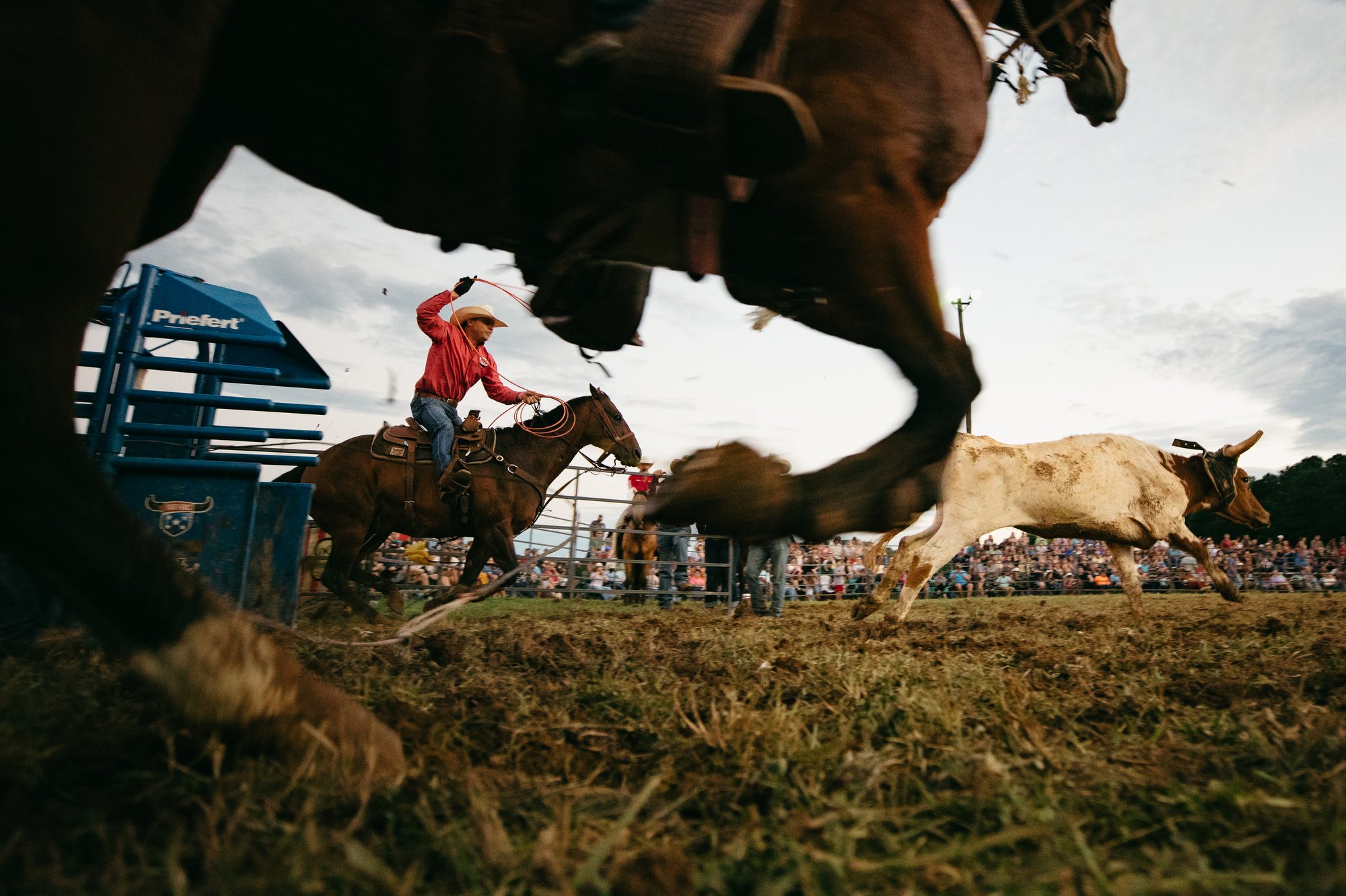 A cowboy swings his lasso as he tries to rope a calf at the Silk Hope Pro Rodeo in Silk Hope, N.C. on June 24, 2023.