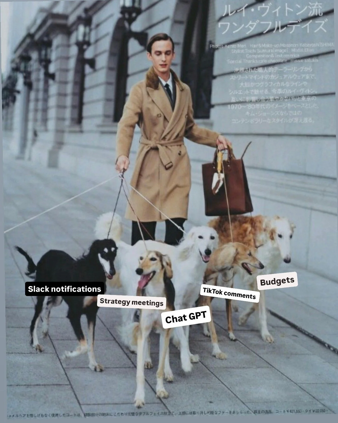 Marketing can make you feel like you're being pulled in a million directions at once. At AFMKTG, we keep our processes on a tight leash.