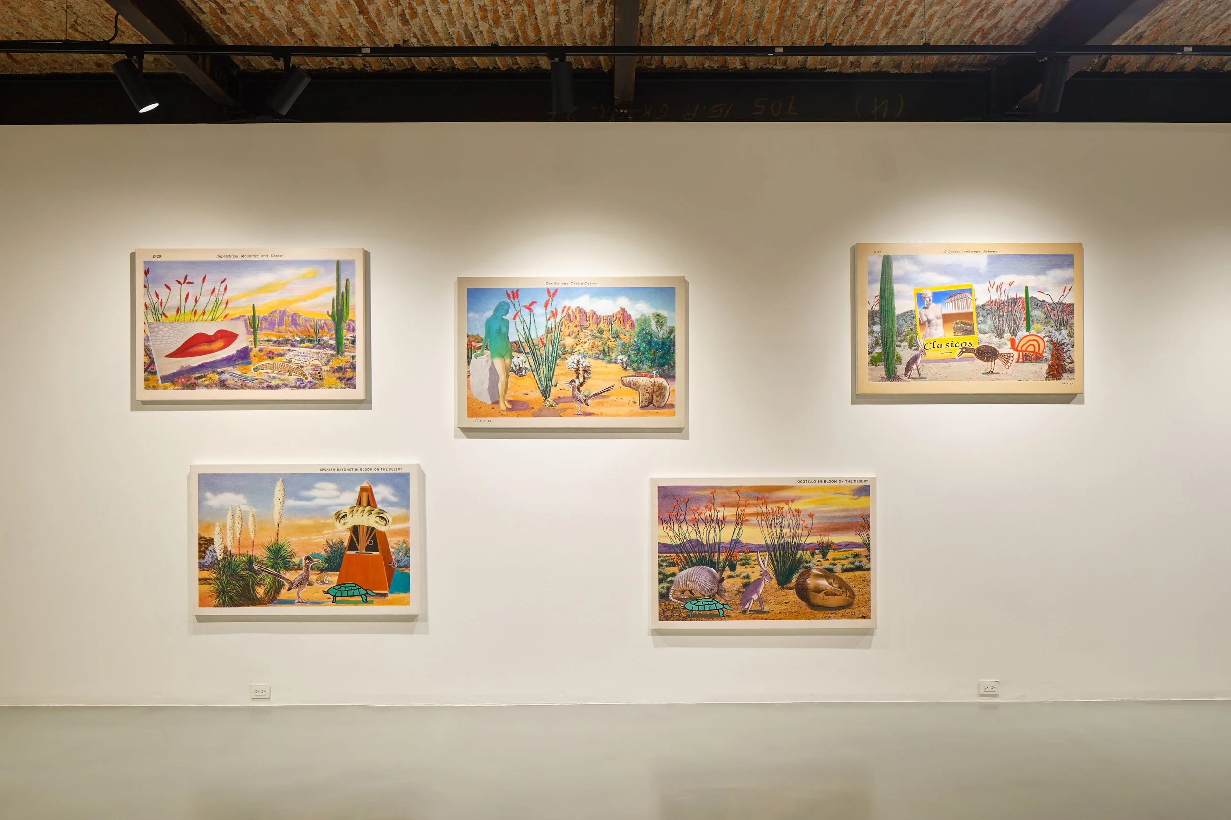 REG_PLAC_Raul_Sala_Web_ 5.jpg