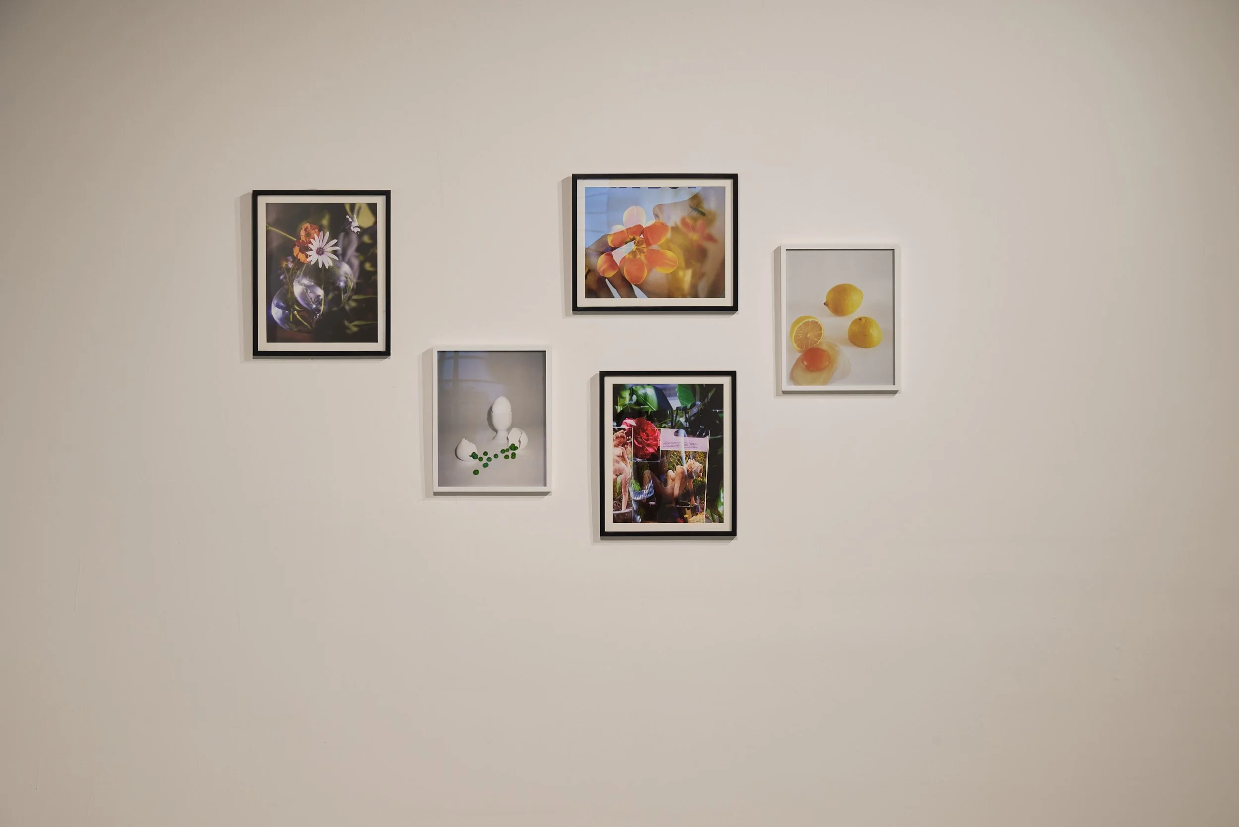 2026_REG_PLAC_Here Now_web_ 19.jpg