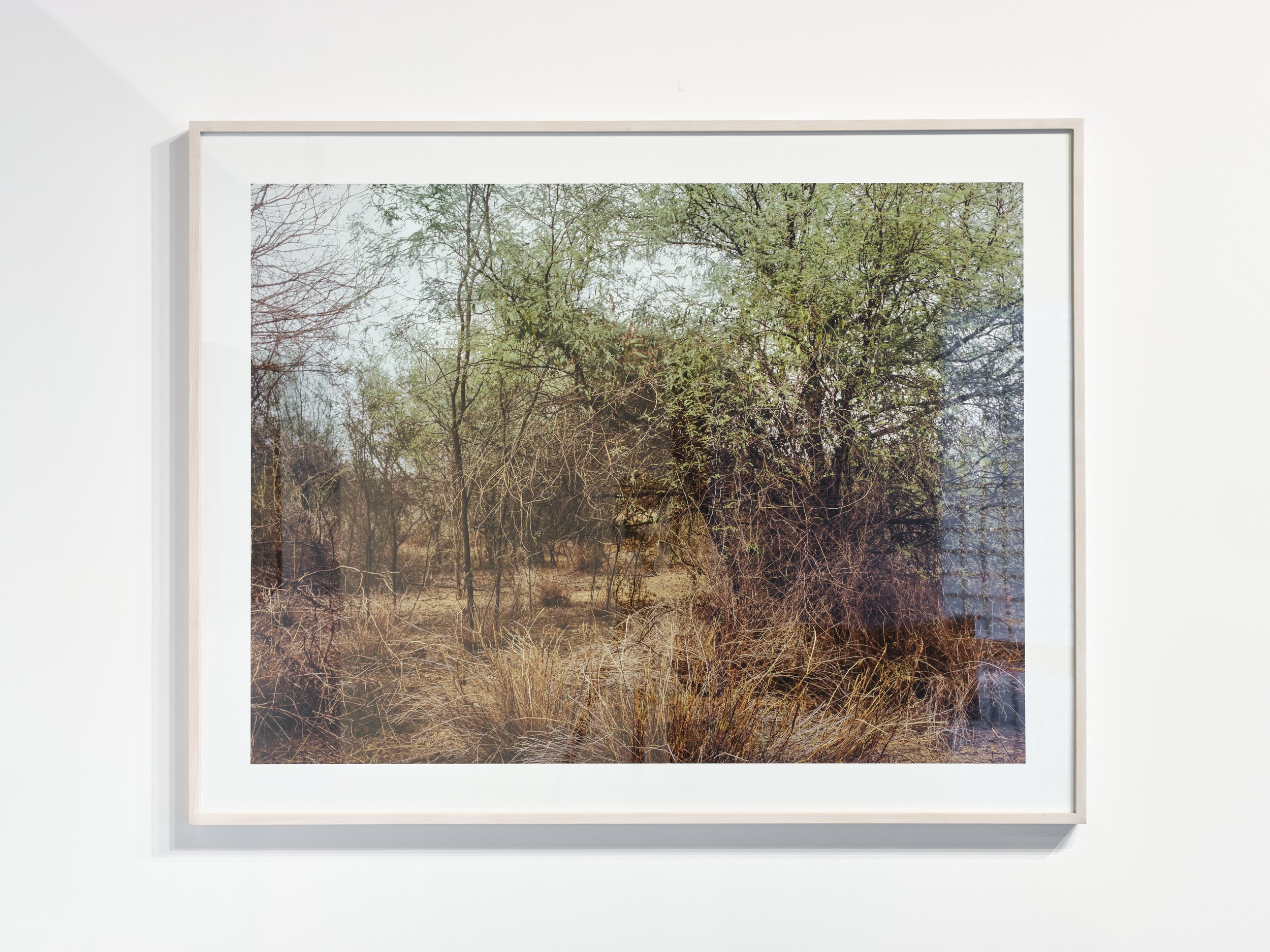 2026_REG_PLAC_INDIVIDUAL_Here Now_WEB_13.jpg