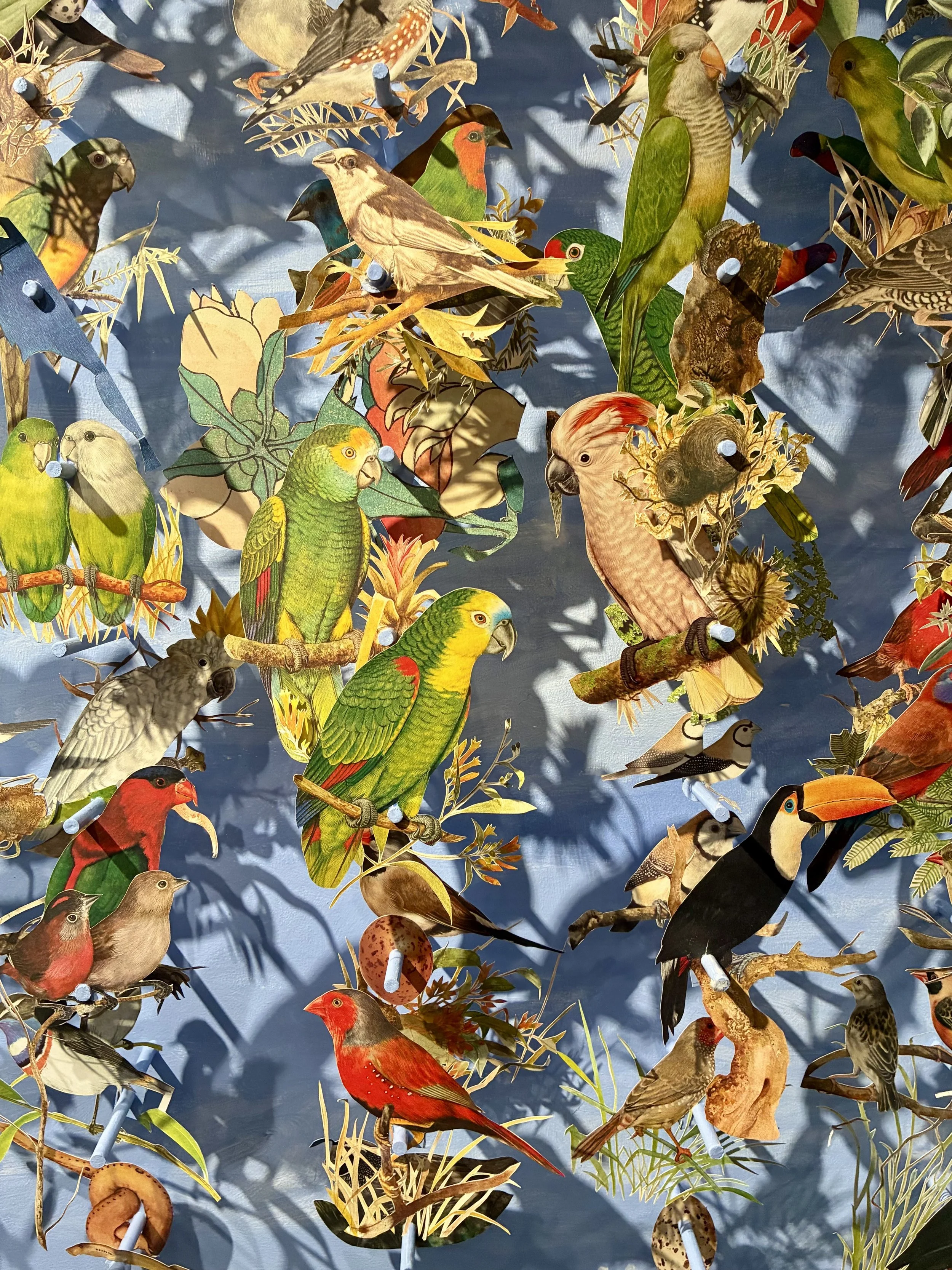 Jack Milroy  | Bibliophilia