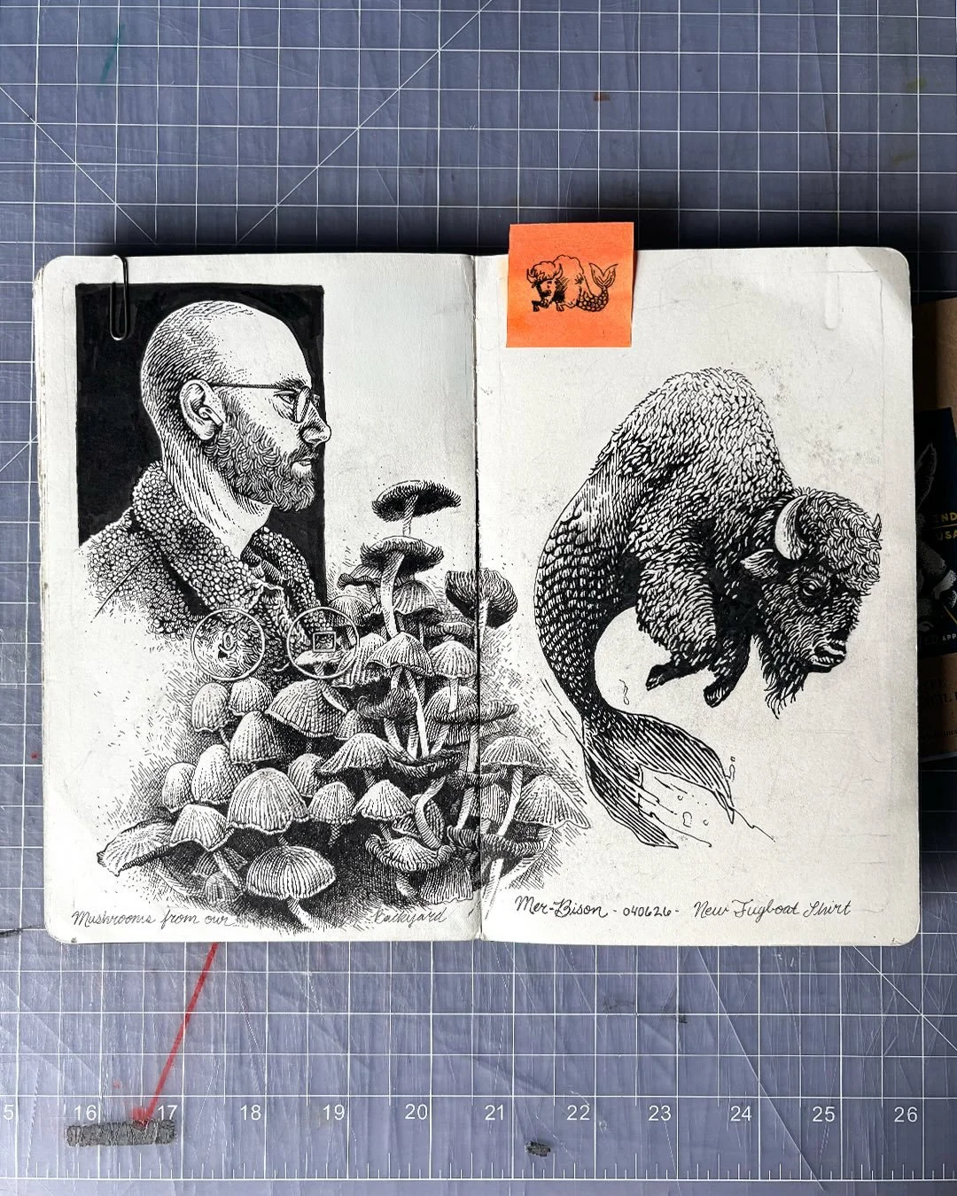 Sketchbook entry of the concept drawing(s) for my new bison-fish design. Also pictured a finished zoom call self portrait and some mushrooms we found in the yard.  A longer protocol on thoughts and process could probably be appropriate, but another t