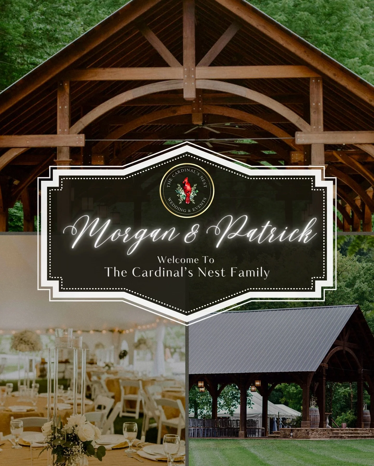 Love birds are flocking to @cardinalsnestweddings 😍🪹 
Our hearts are so full 🤍
#cardinalsnestweddings #smokymountainweddings #weddingseason #tennesseeweddingvenue #weddingvenue #outdoorwedding #tennesseebride #tennesseegroom #tennessee #engaged