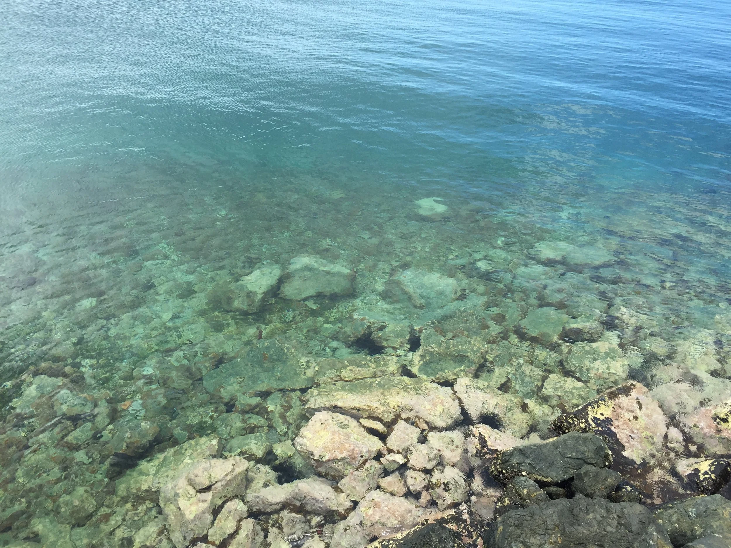 Mosquito Pier