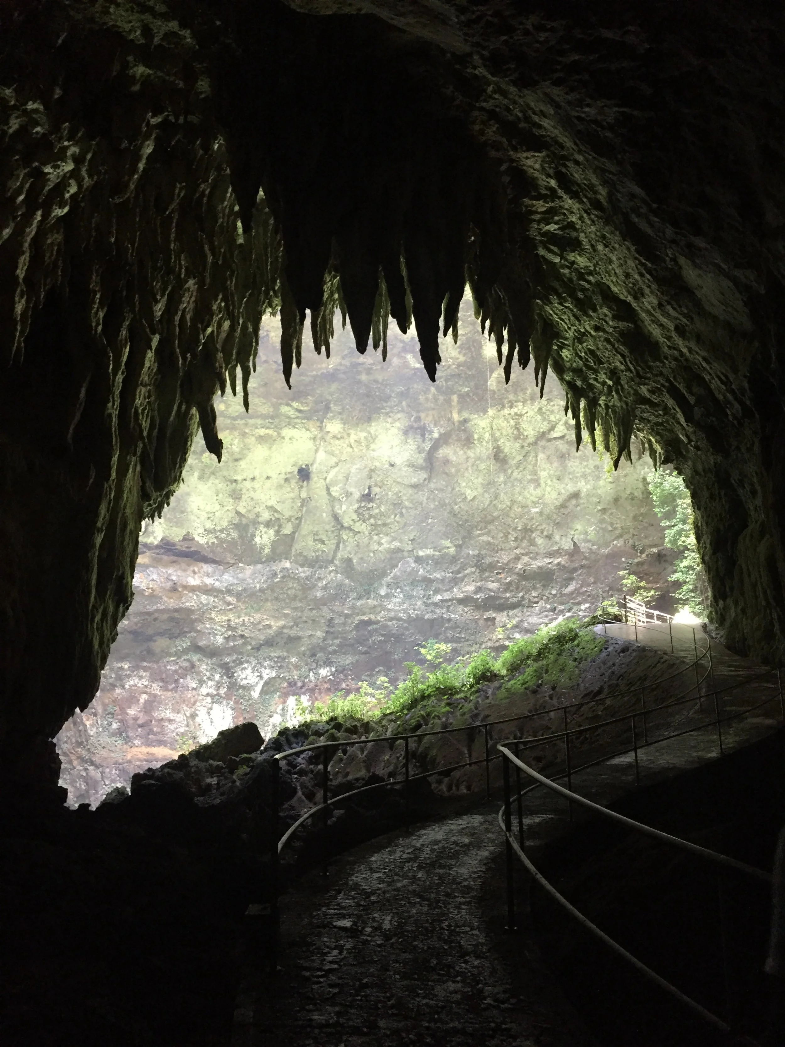 Camuy River Cave Park