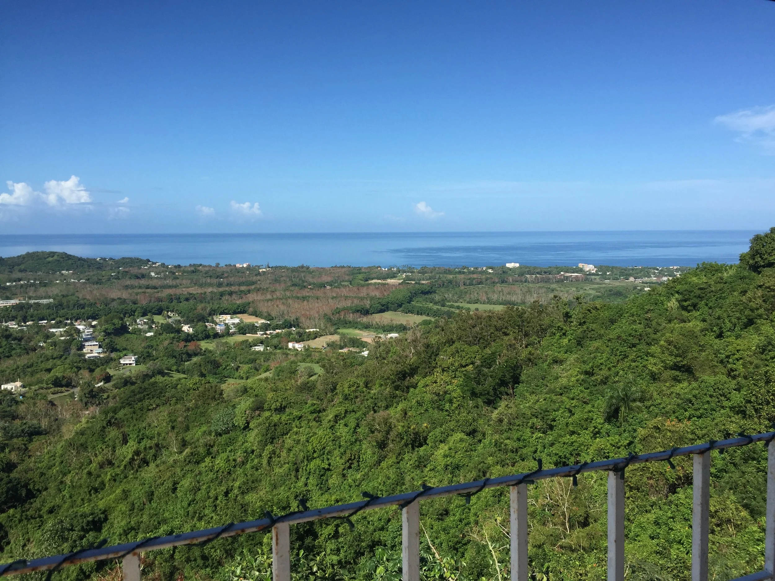 Rincon