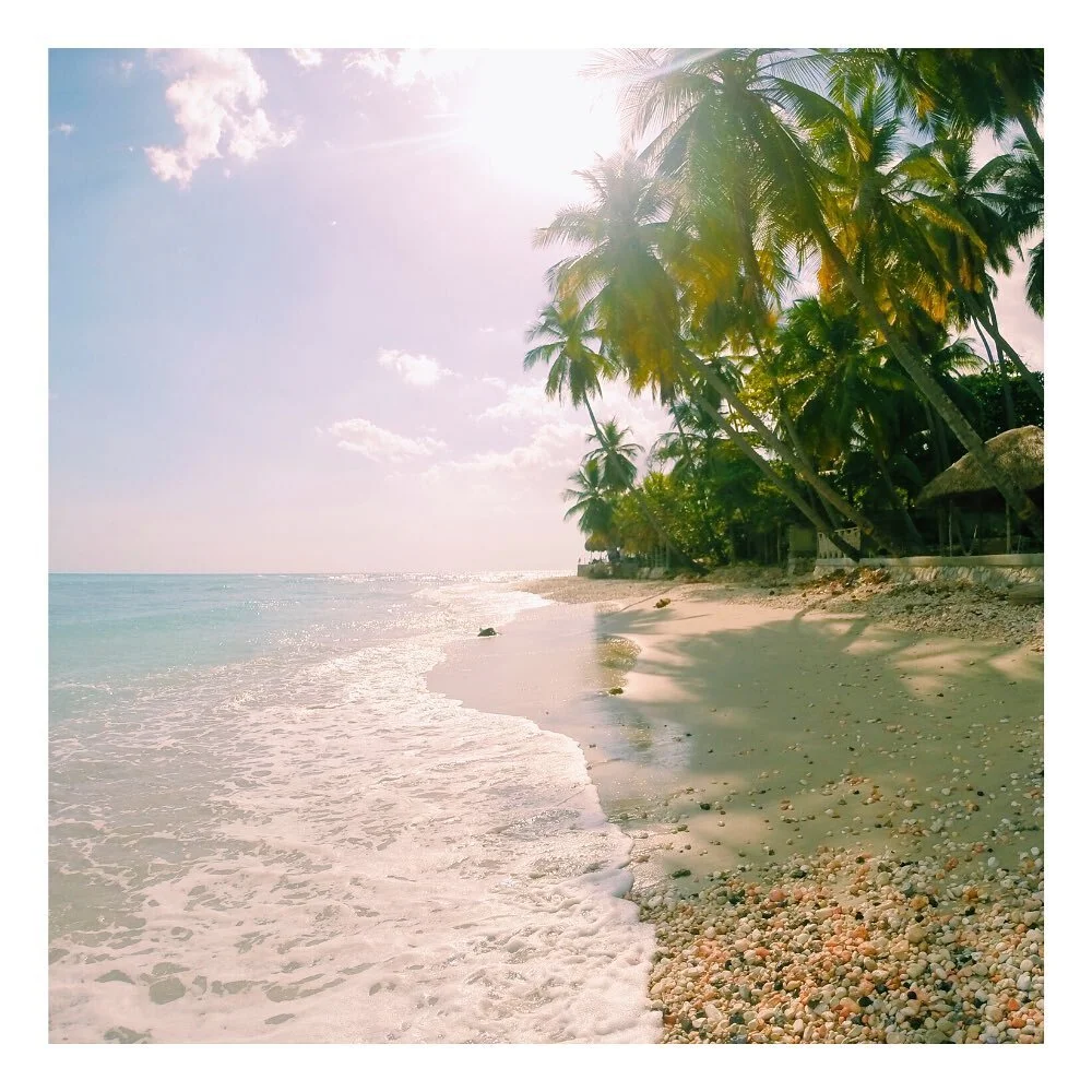 📍Jacmel, Haiti 

.

#haiti #jacmel #visithaiti #jacmelhaiti #travel #travelgram #welltraveled #thewelltraveled #likeforlikes #follow4followback