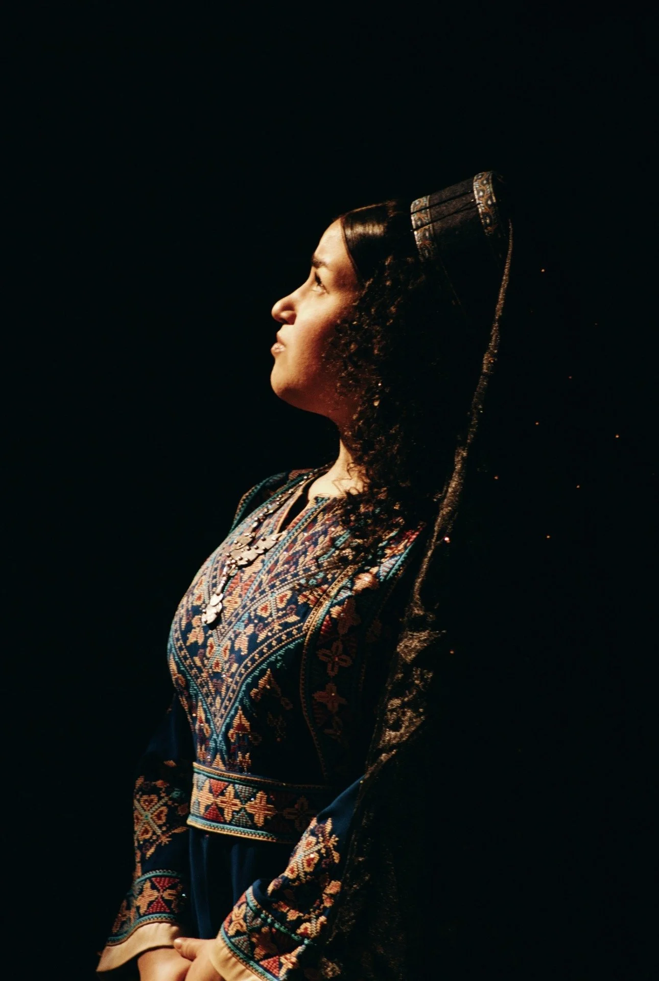 Scheherazade notices she has survived to another dawn *