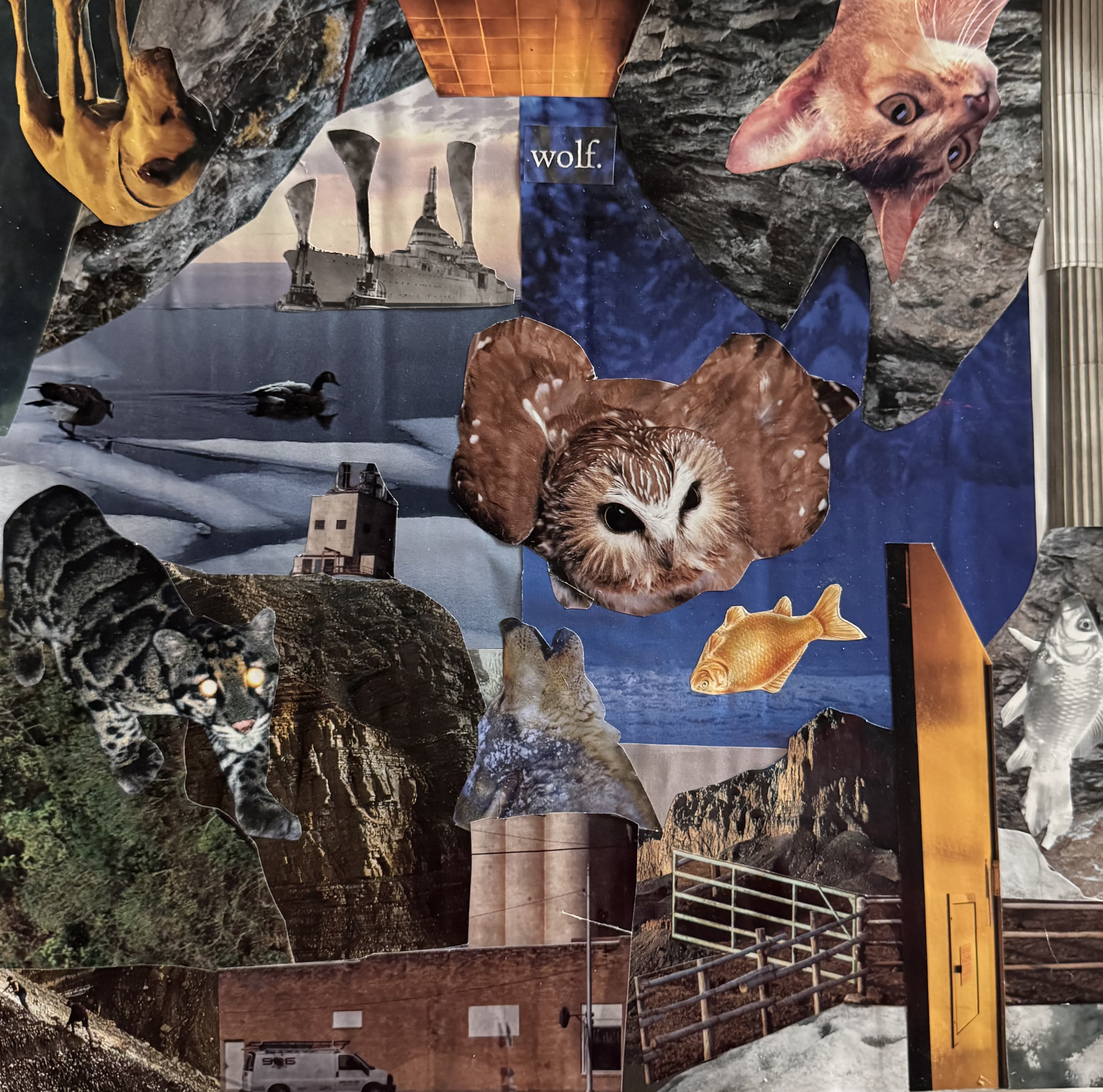 "wolf" and my first collage