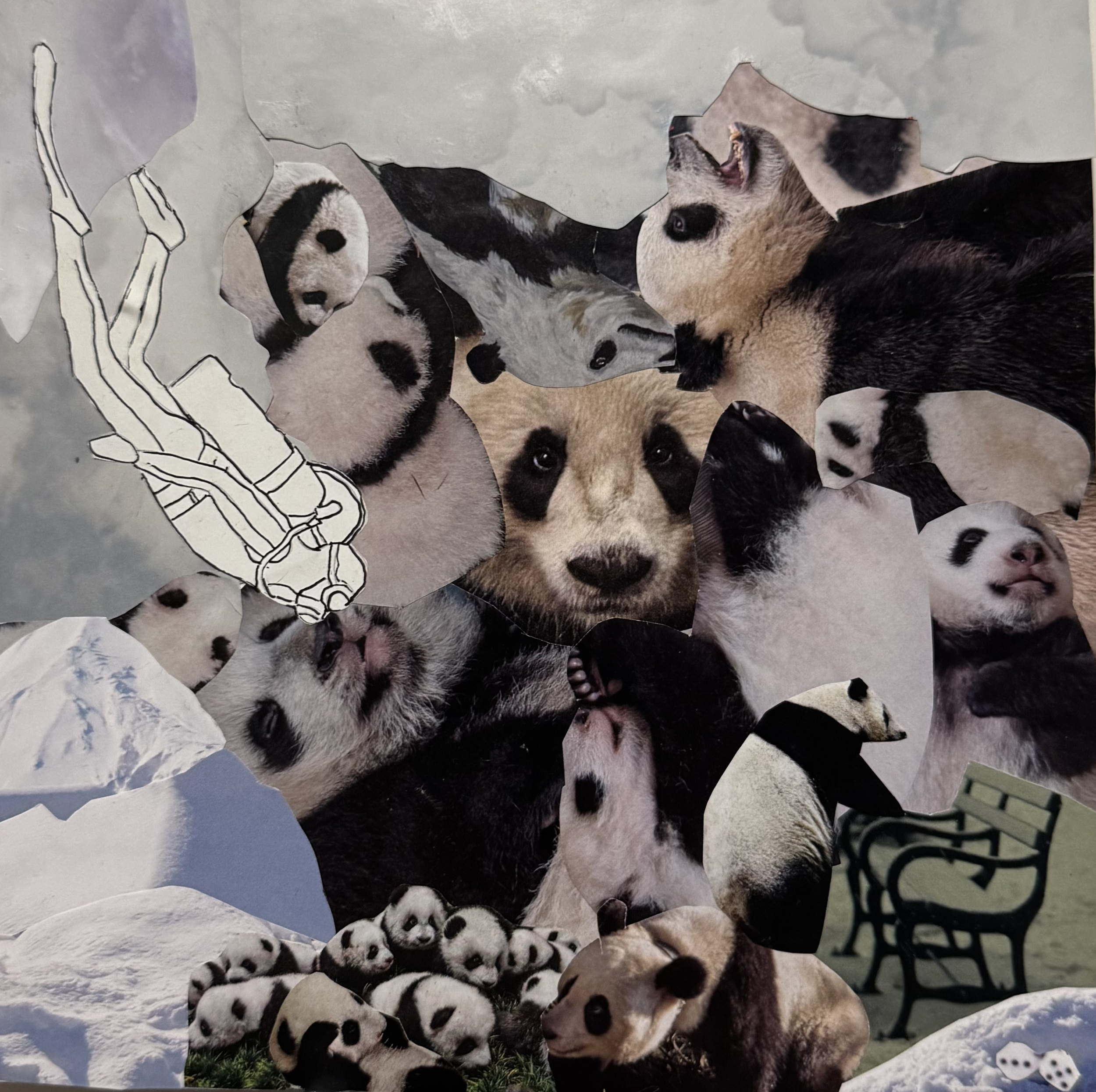 An Abundance of Pandas