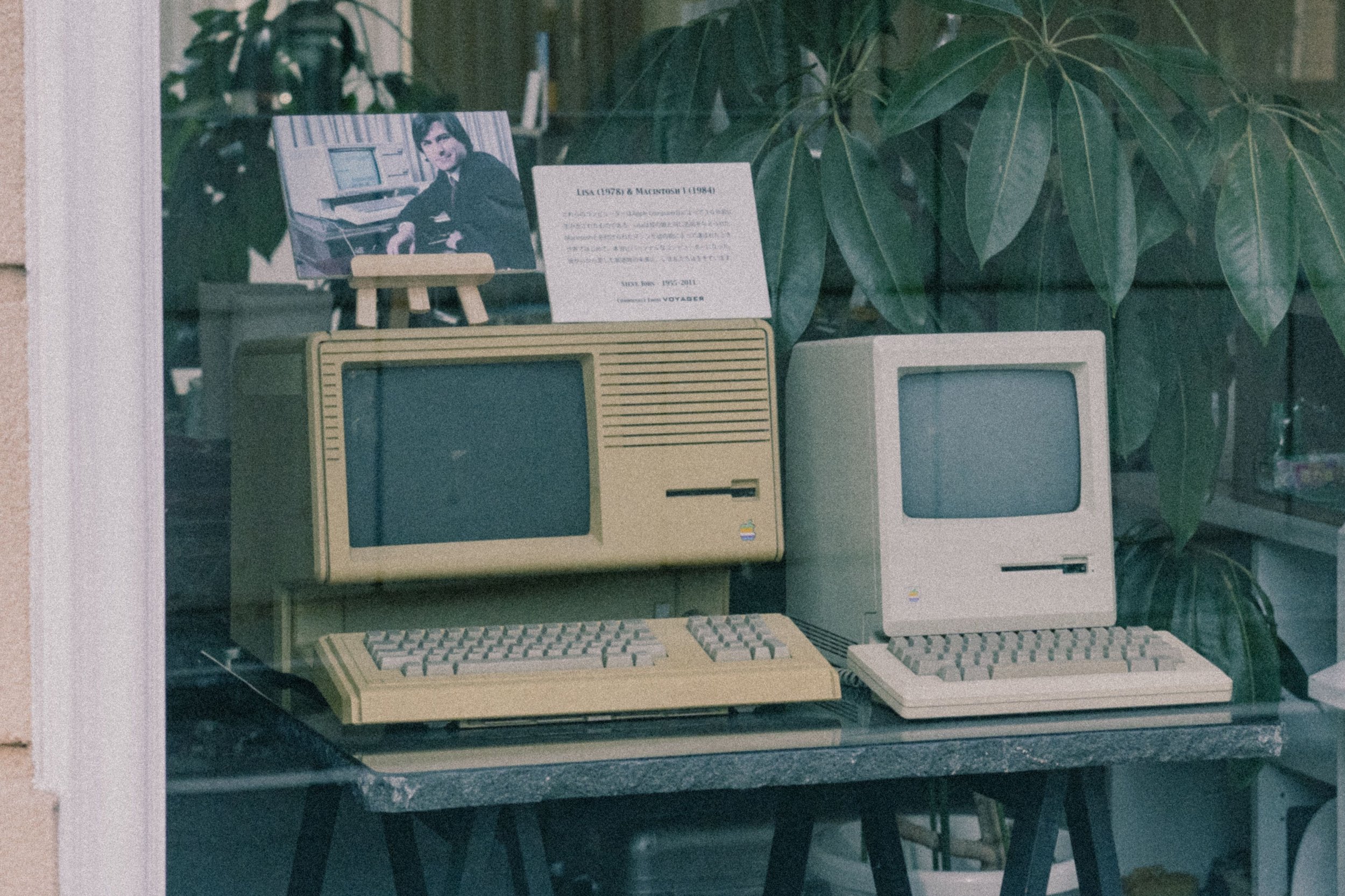 Why should you care about your data?