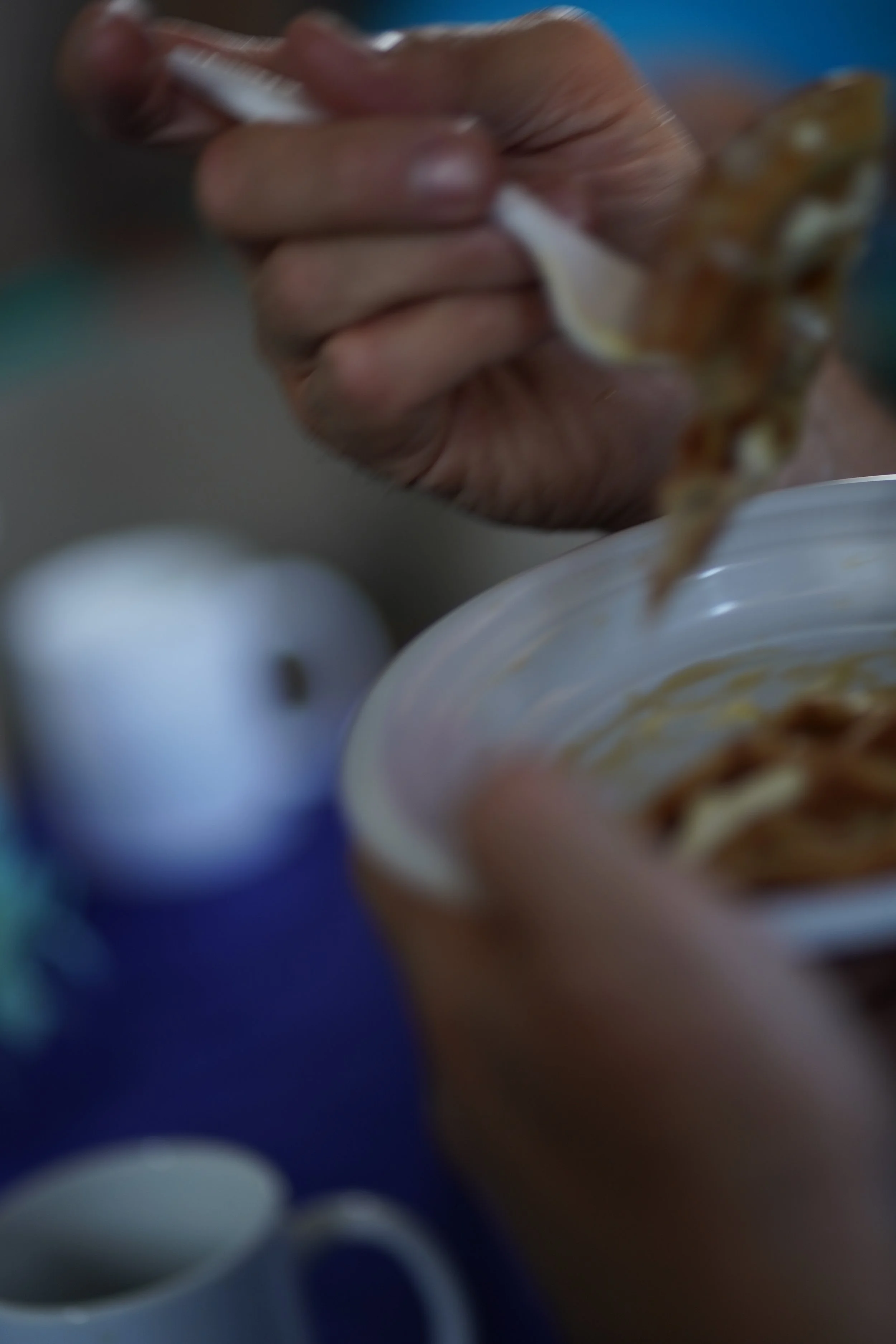 DSC02147.JPG