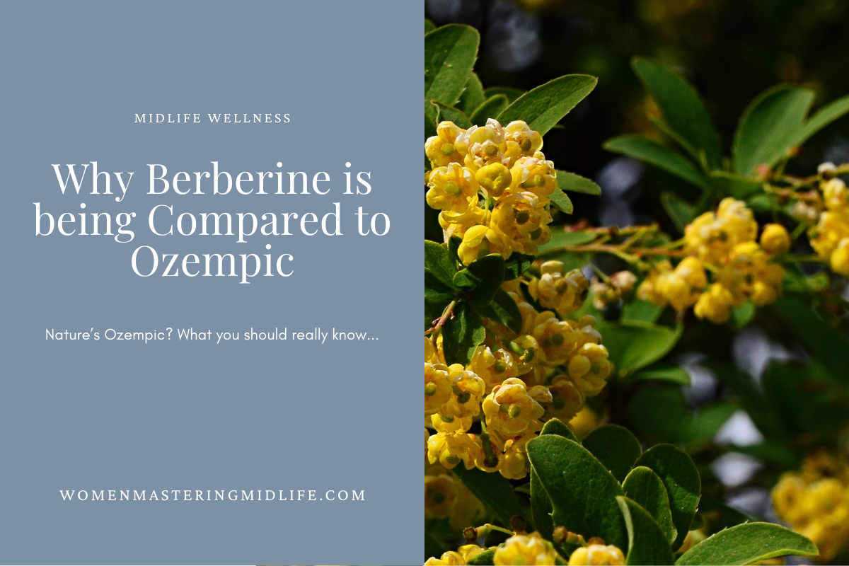 Berberine: “Nature’s Ozempic”: Evidence, Exaggeration, and What Women Should Know