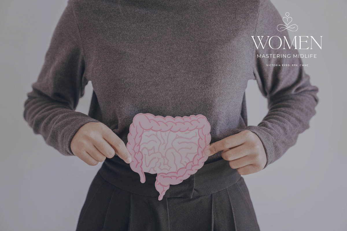 The Gut–Estrogen Connection in Perimenopause and Menopause