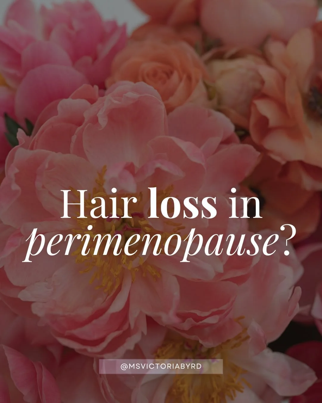 Who else&rsquo;s hair is completely different in midlife? 

Thinning? Dry? Hair texture changes?

I used to have thick, curly hair and now it doesn&rsquo;t hold a curl. It is fine and it has been thinning. Back in December I began to try one skin hai