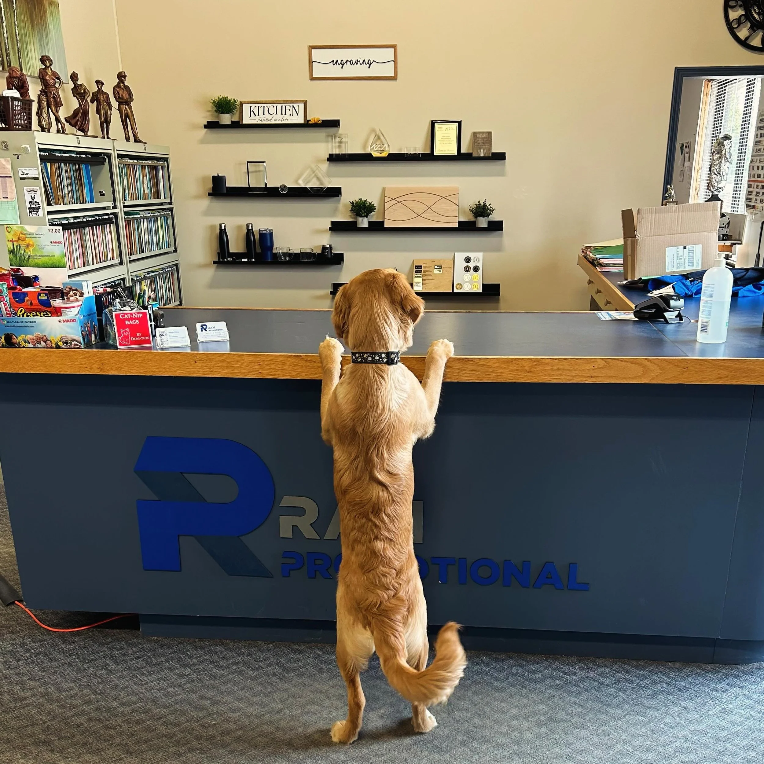 &ldquo;Excuse me, is Jeff here?&rdquo;- Rue. ☀️⛳️