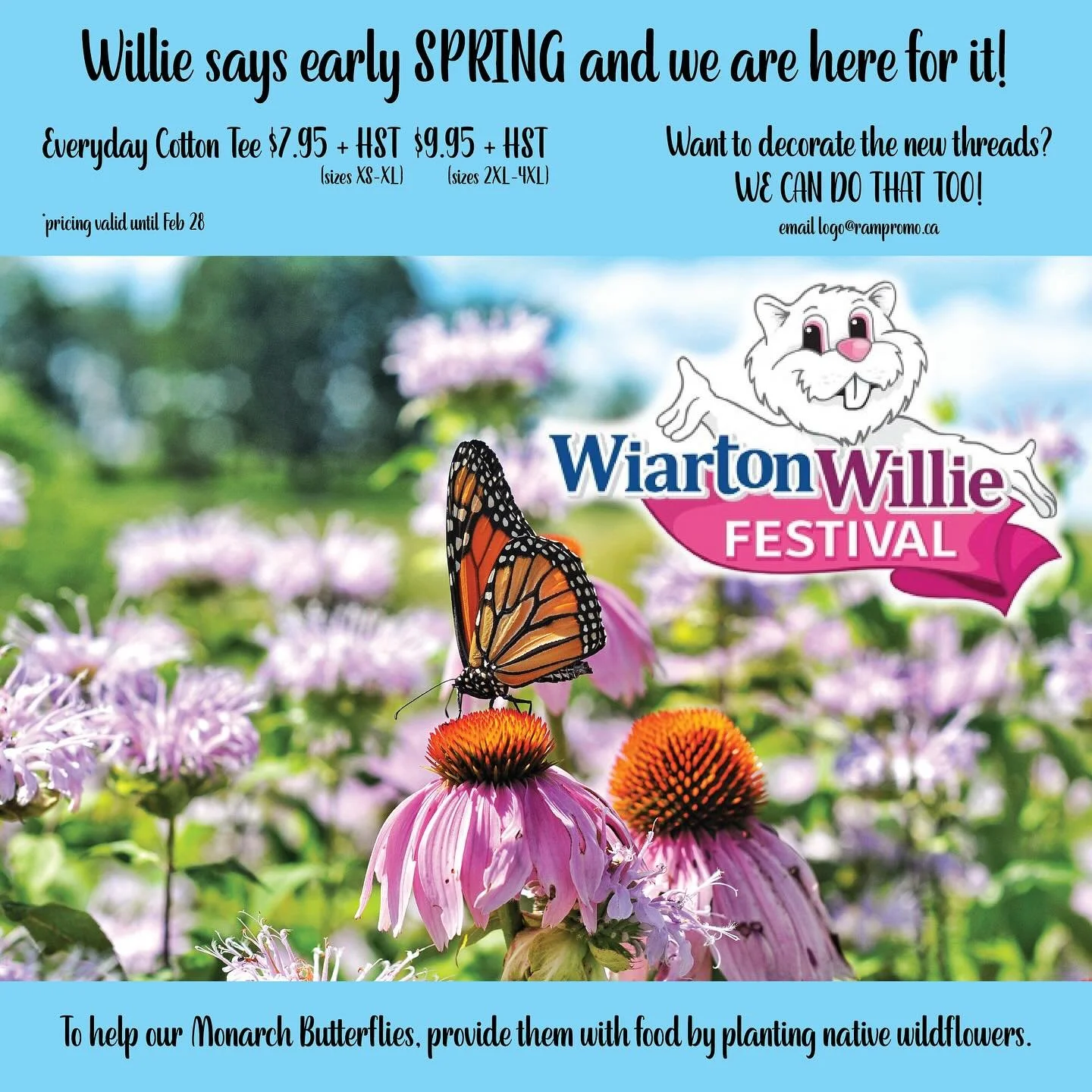 Spring vibe tee SALE! ☀️🌷🪻🦋