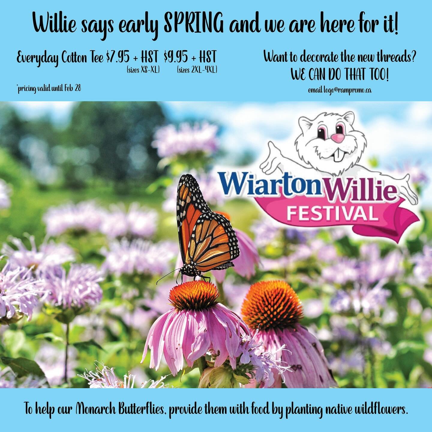 Spring vibe tee SALE! ☀️🌷🪻🦋