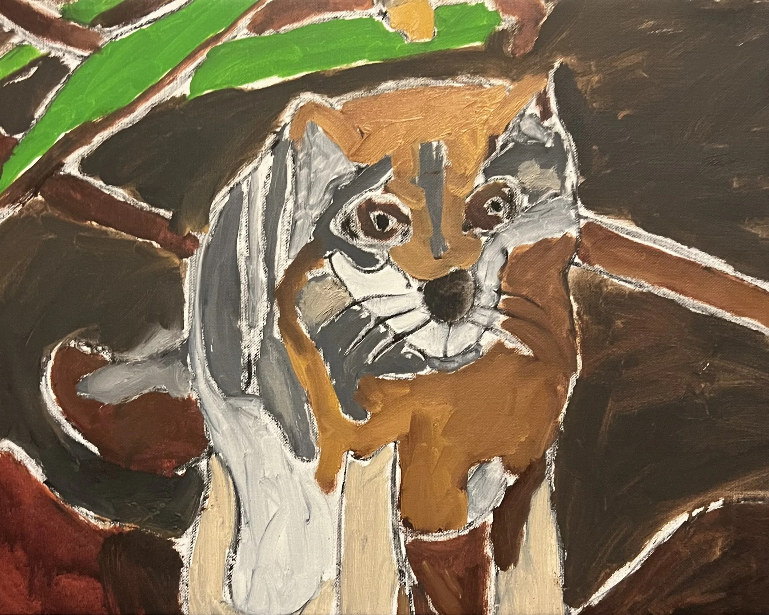 Fox 