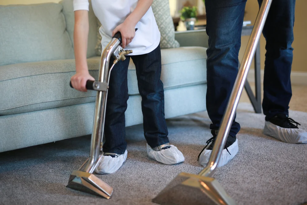 Services — Evergreen Carpet Cleaning