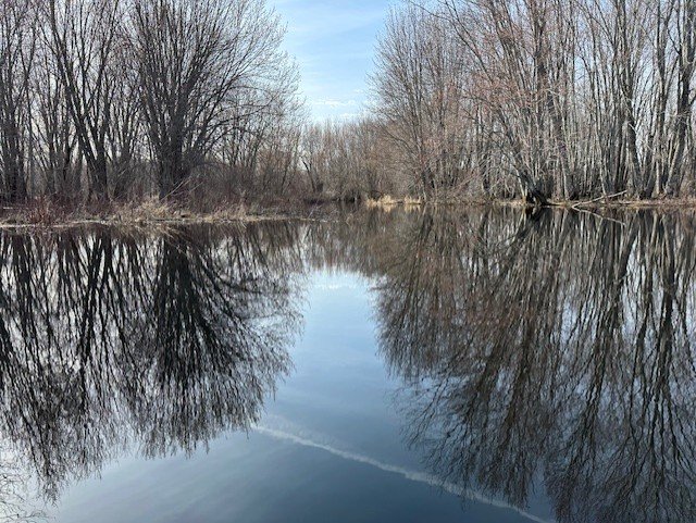 Sandy Stream Monitoring Project