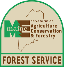 Maine's Tree Growth Tax Law Program webinar