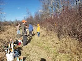 Swan Lake State Park Live Stake Workshop -Swanville