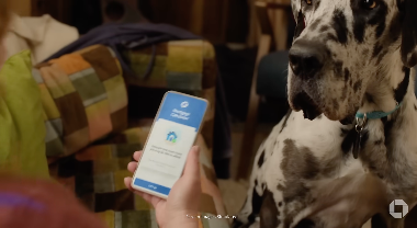 "All the way home - Dog" - Another feel-good commercial for future homeowners - this time, a woman and her beloved dog. Click to watch.