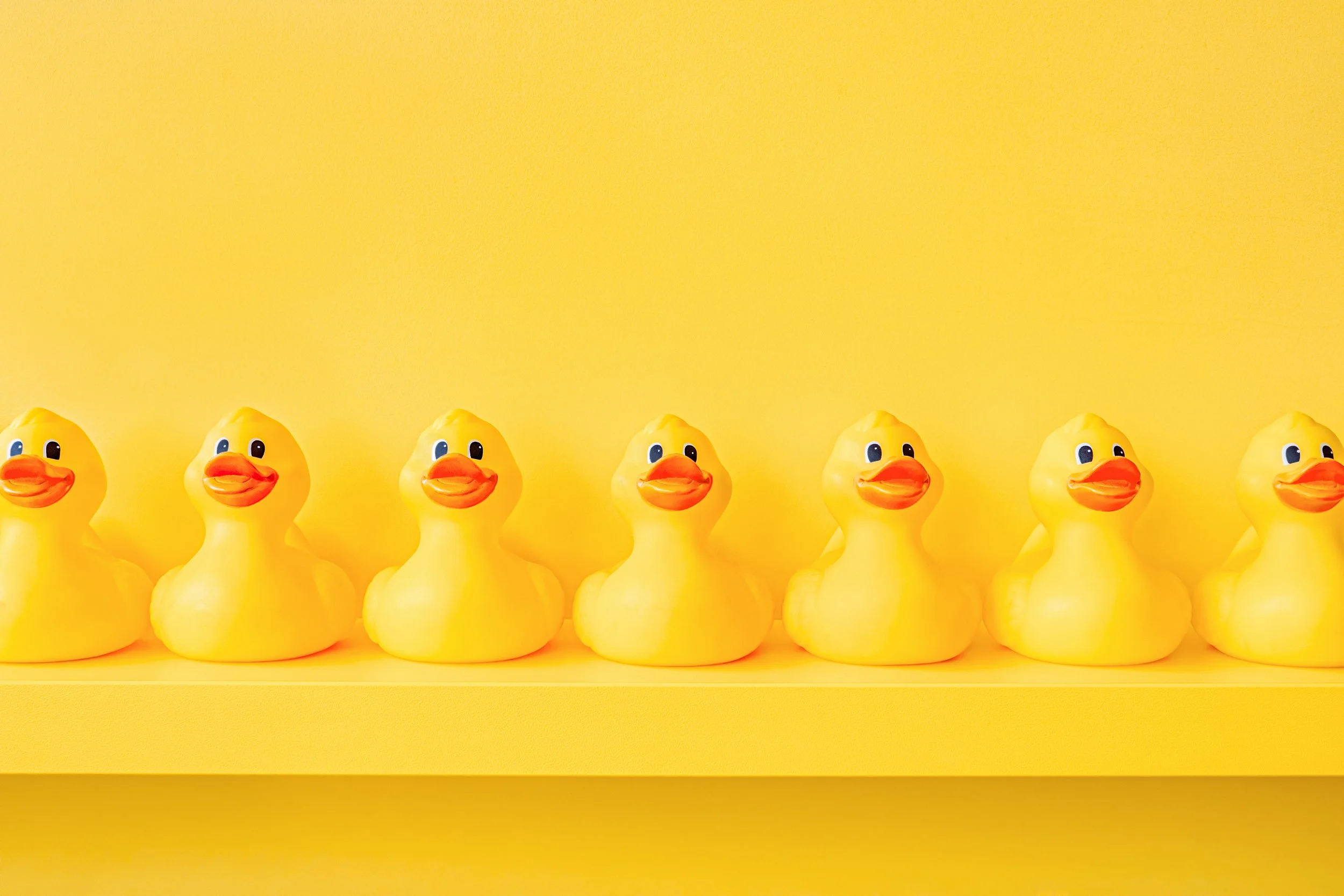 Time needed to get Ducks in a Row for the Renters’ Rights Act