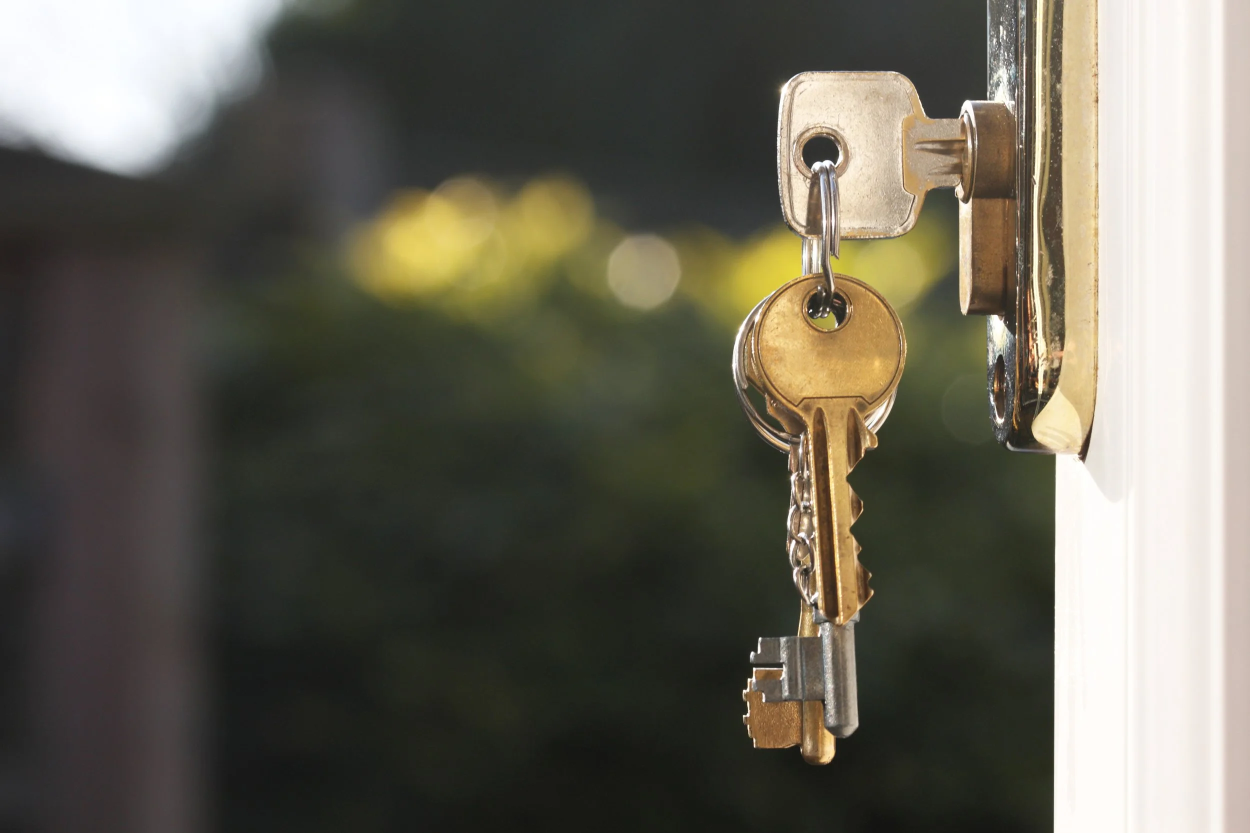 Has being a DIY Landlord become too Complicated?