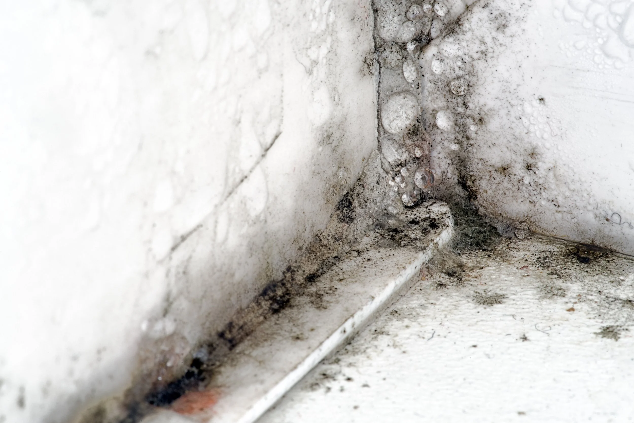 MHCLG Consultation - Extending Awaab's Law to the Private Rented Sector