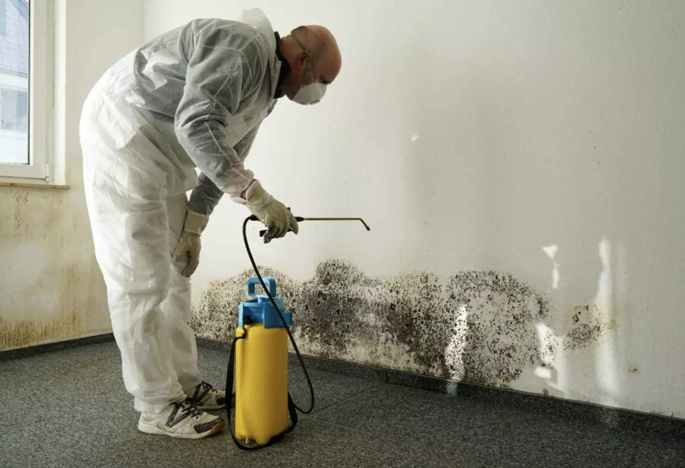 home-mould.png
