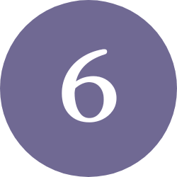 purple circle with white 6 inside