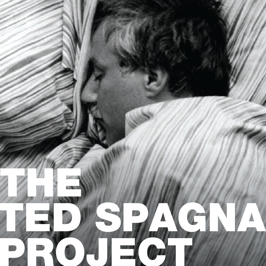 The Ted Spagna  Project