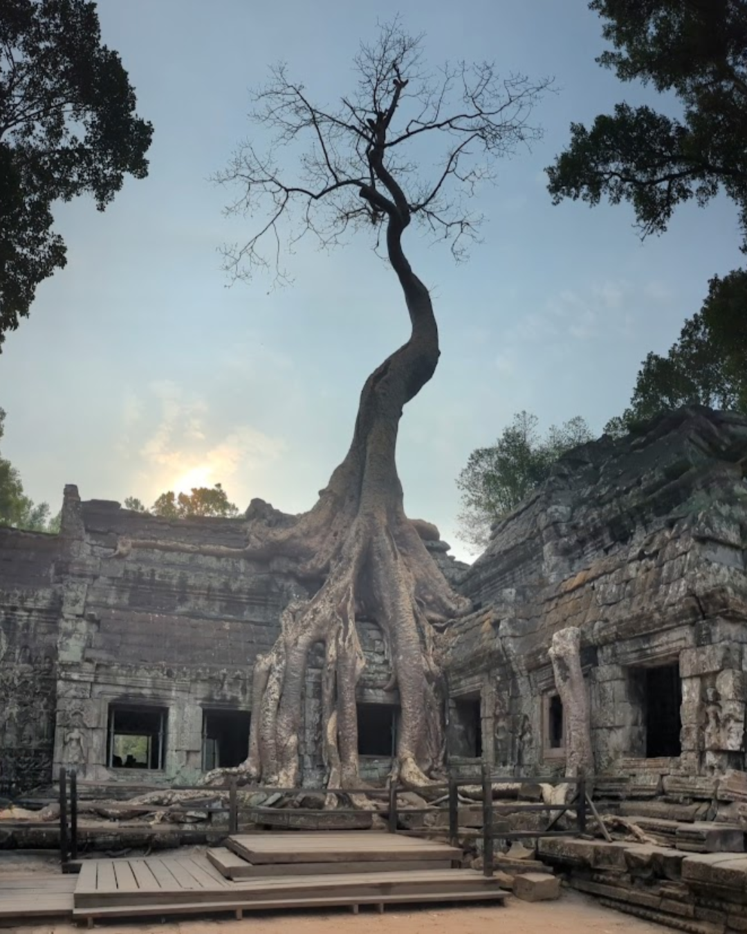The Roundabout Routes of Roots