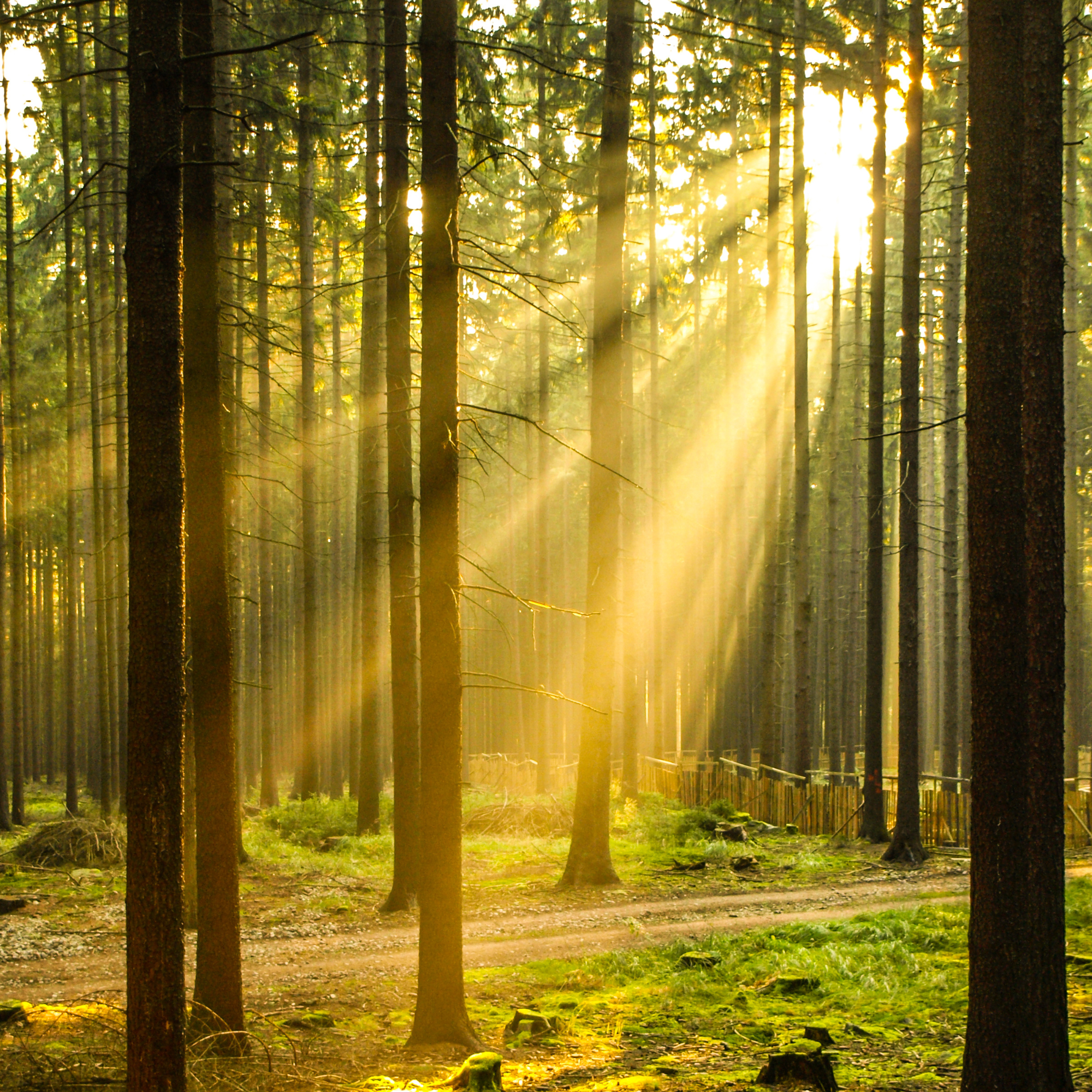 Embodying Conscious Leadership - Oct 2nd