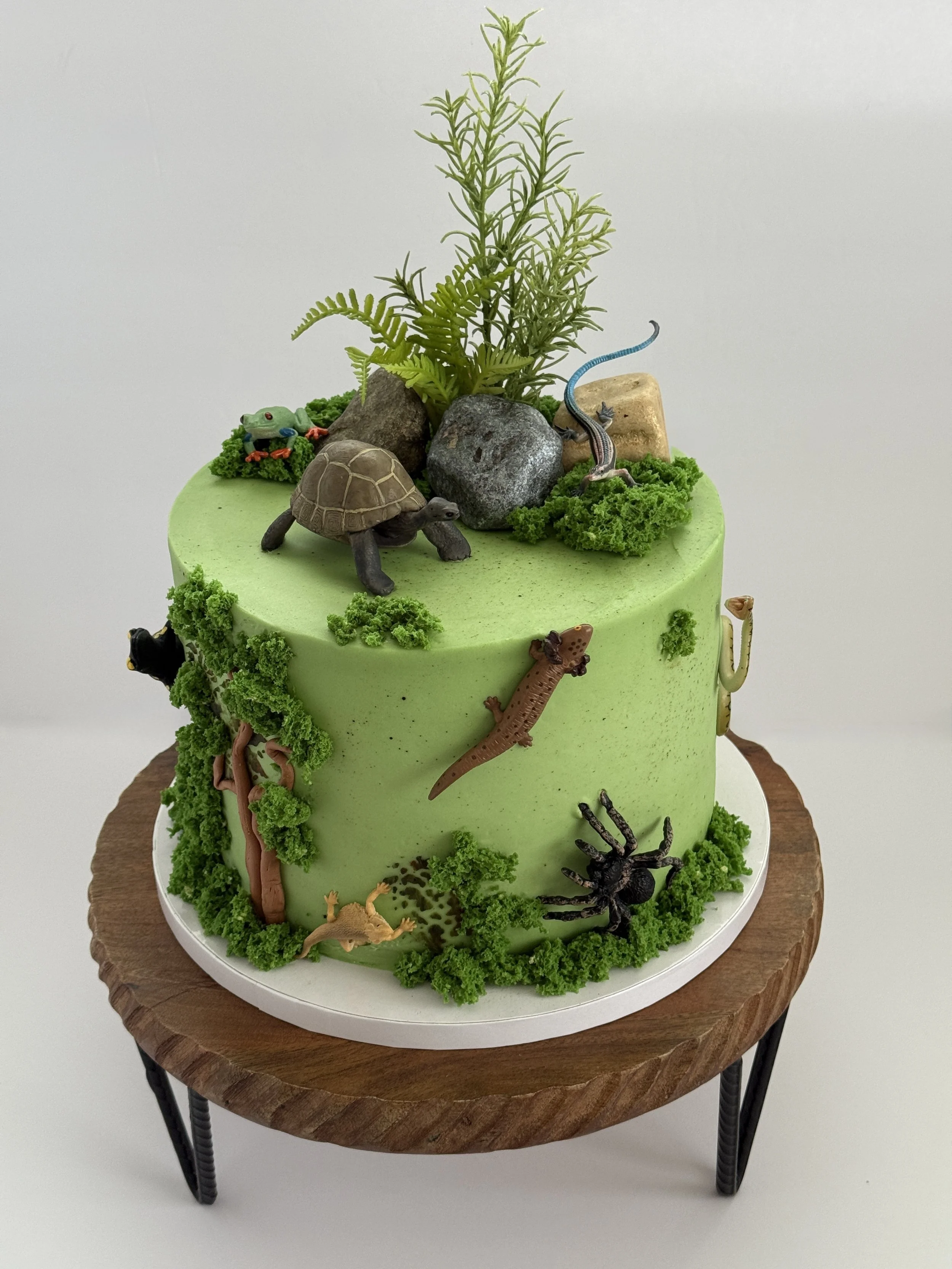 A green, multi-layered cake decorated with edible dinosaurs, a frog, a turtle, a spider, rocks, and green moss-like decorations to resemble a nature scene.