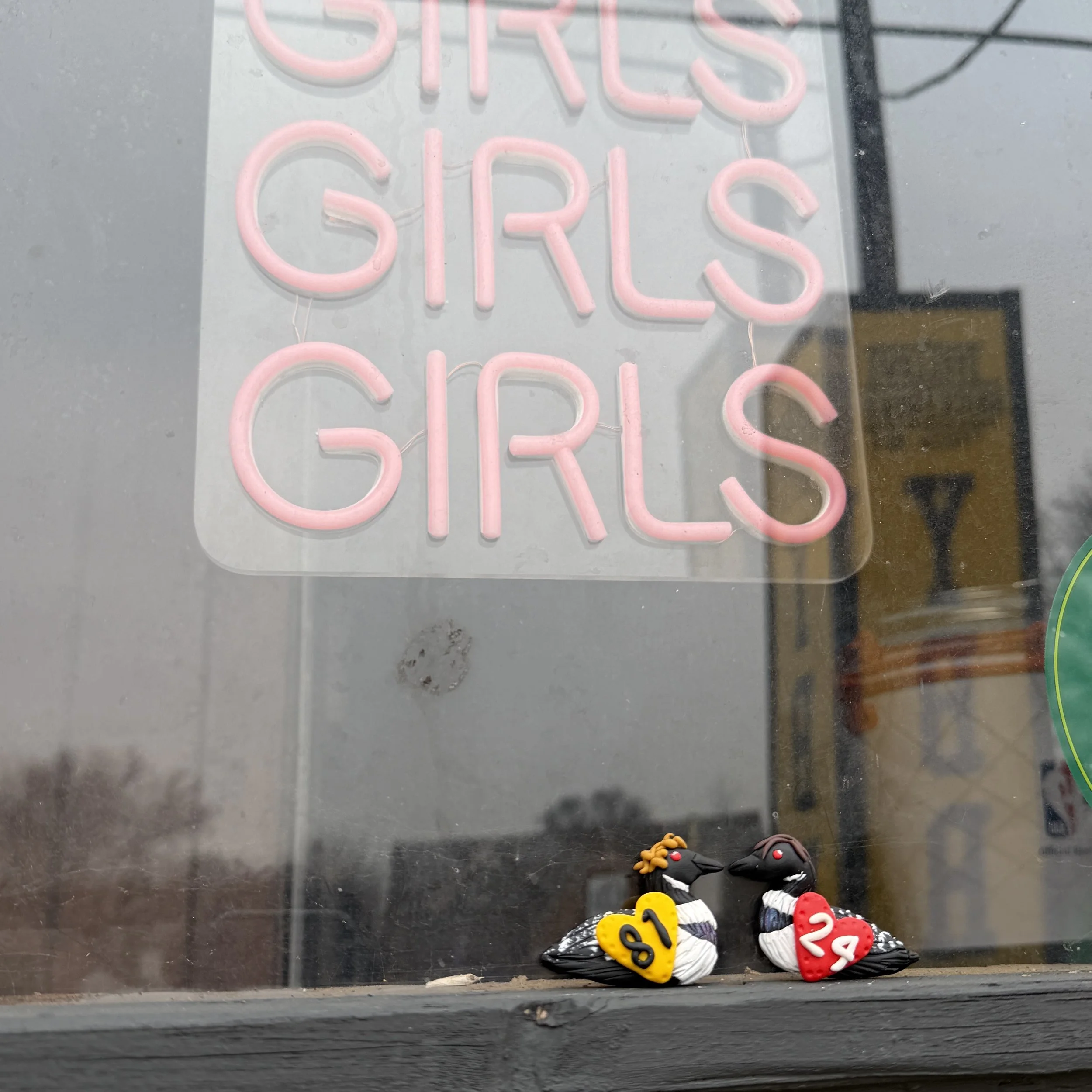 Loon Lovers YBR Class