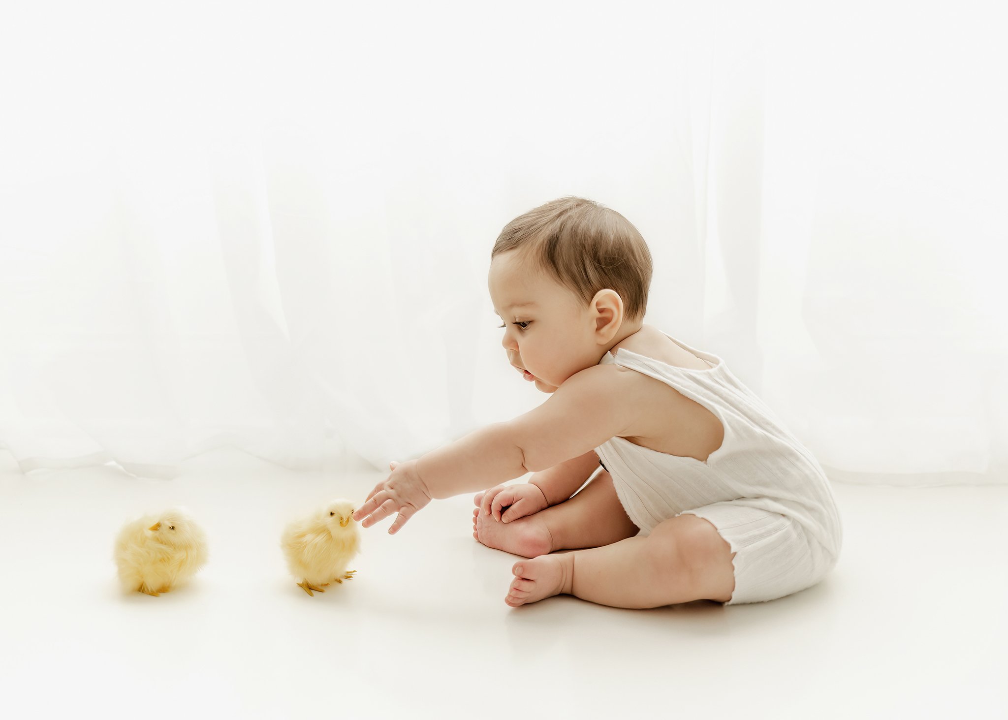 Easter Mini Sessions with live chicks Toledo Ohio 2022.jpg