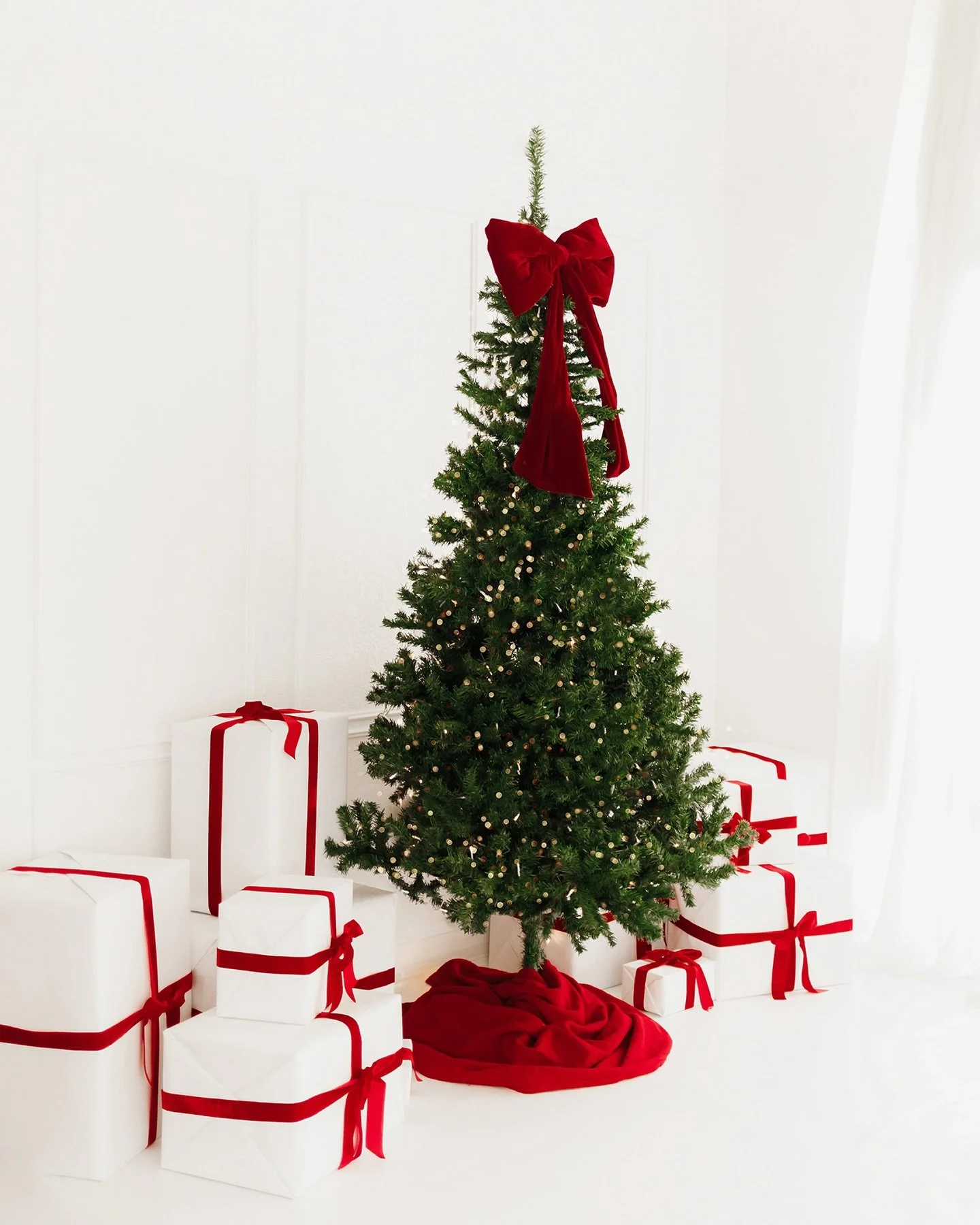 ‼️TONIGHT&rsquo;S THE NIGHT ‼️ Set your alarms for 8pm and make sure you&rsquo;re on my email list so you don&rsquo;t miss out! 

PS &mdash; we will have a snow machine for outdoor minis this year ❄️ ❄️ 

#toledochristmas #toledophotographer #annarbo