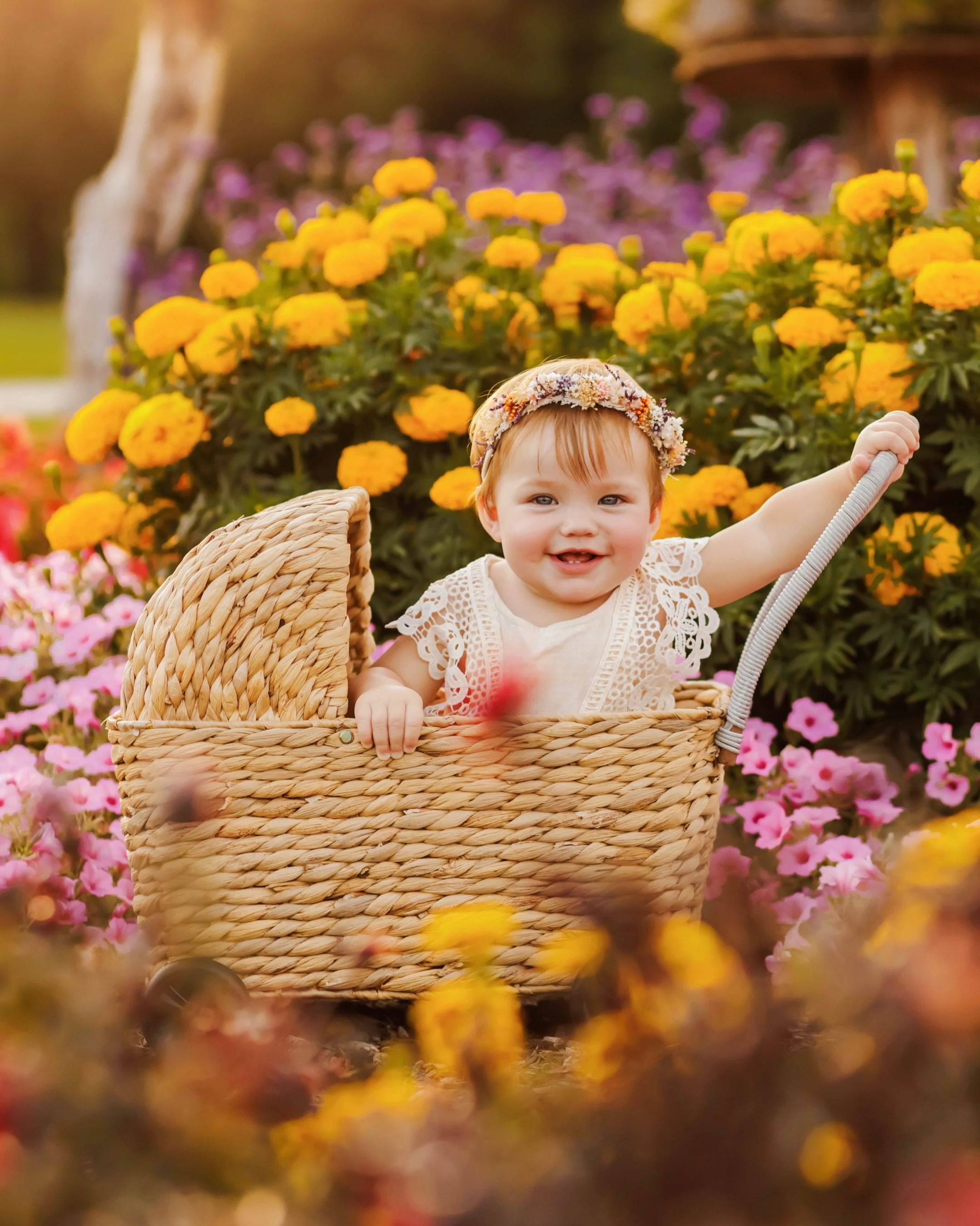 Just the absolute cutest 1st birthday session&hellip;flowers, lemons, and the prettiest baby girl 🤍 She was an absolute joy to photograph! 

It makes me so sad that we only have a little over a month before all of this disappears 😭 I love fall but 